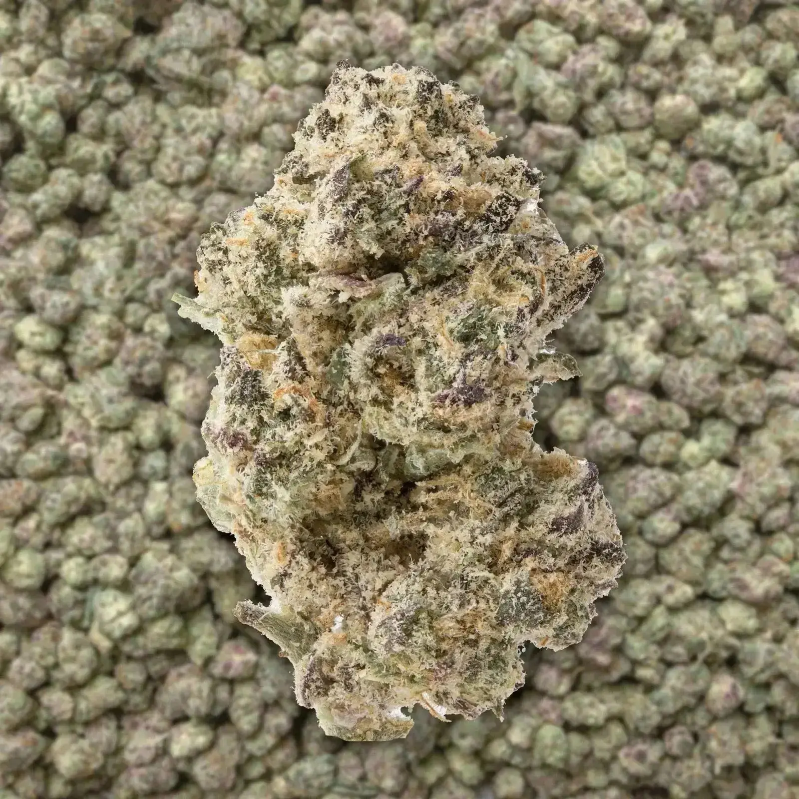 Apple Fritter Exotic Smalls THCa Flower - Image 3