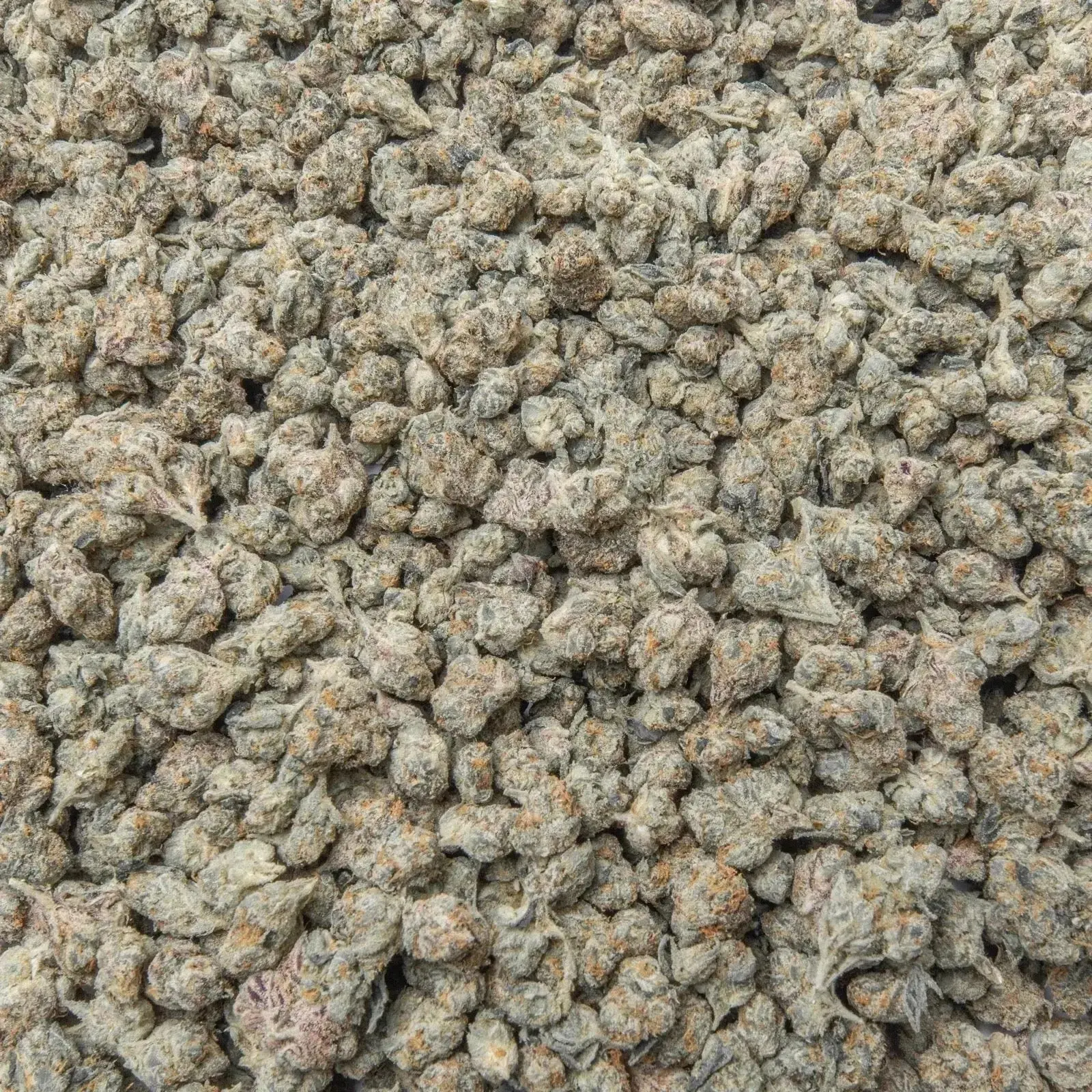 Black Cherry Gelato Smalls THCa Flower