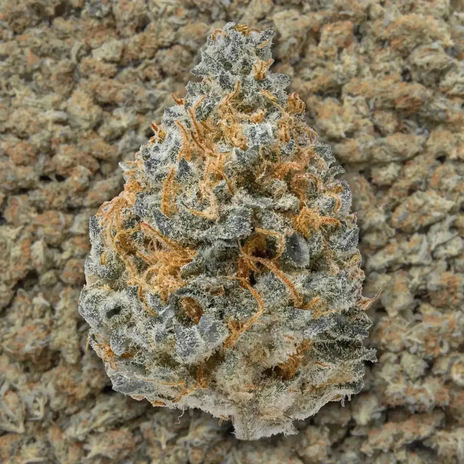 Blue Dream THCa Flower Ounce - Image 3