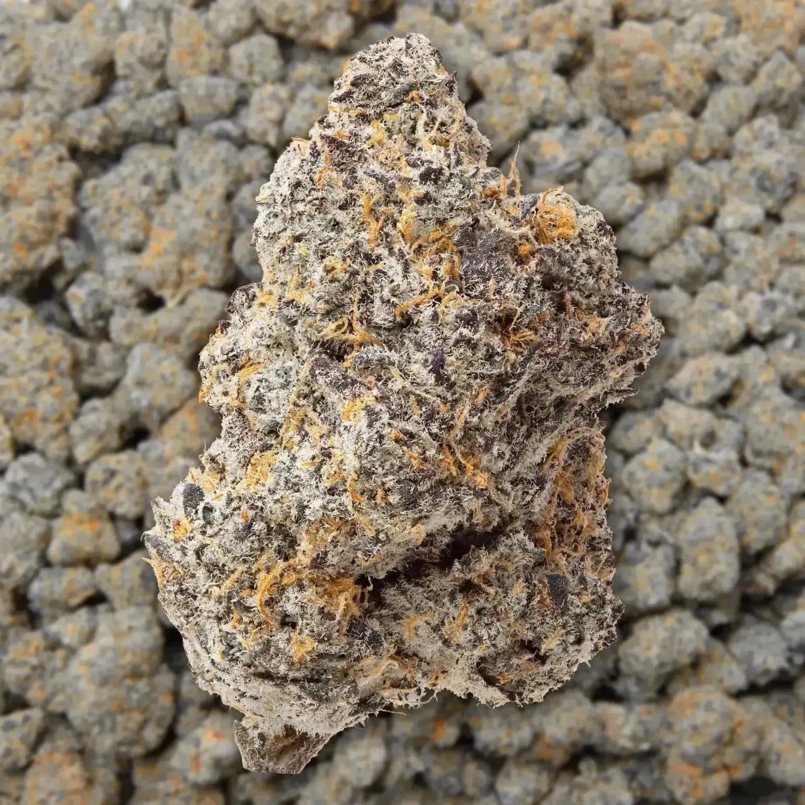 Blue Zooties Exotic THCa Flower Ounce - Image 2