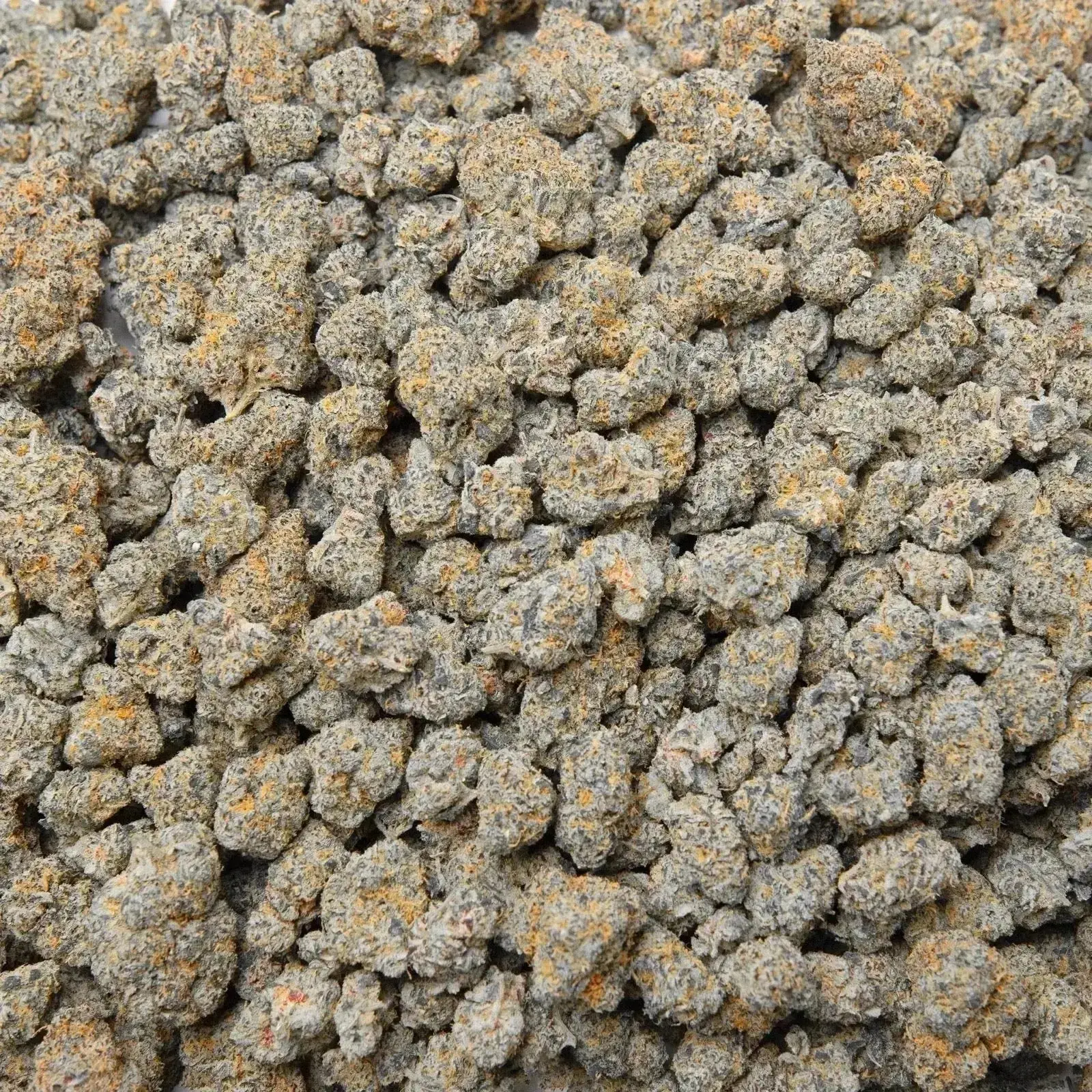 Blue Zooties Exotic THCa Flower Ounce - Image 3