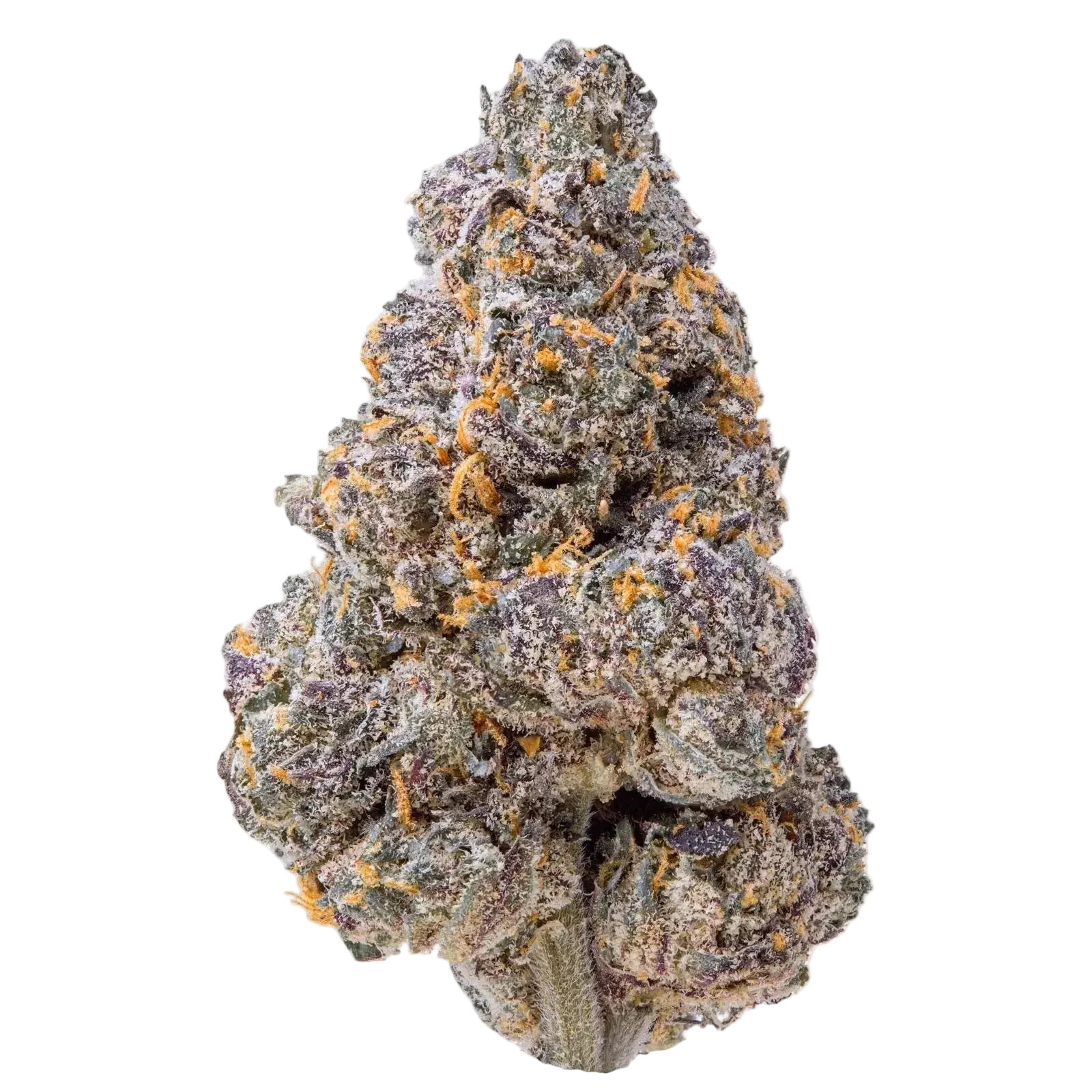 Burst THCa Flower