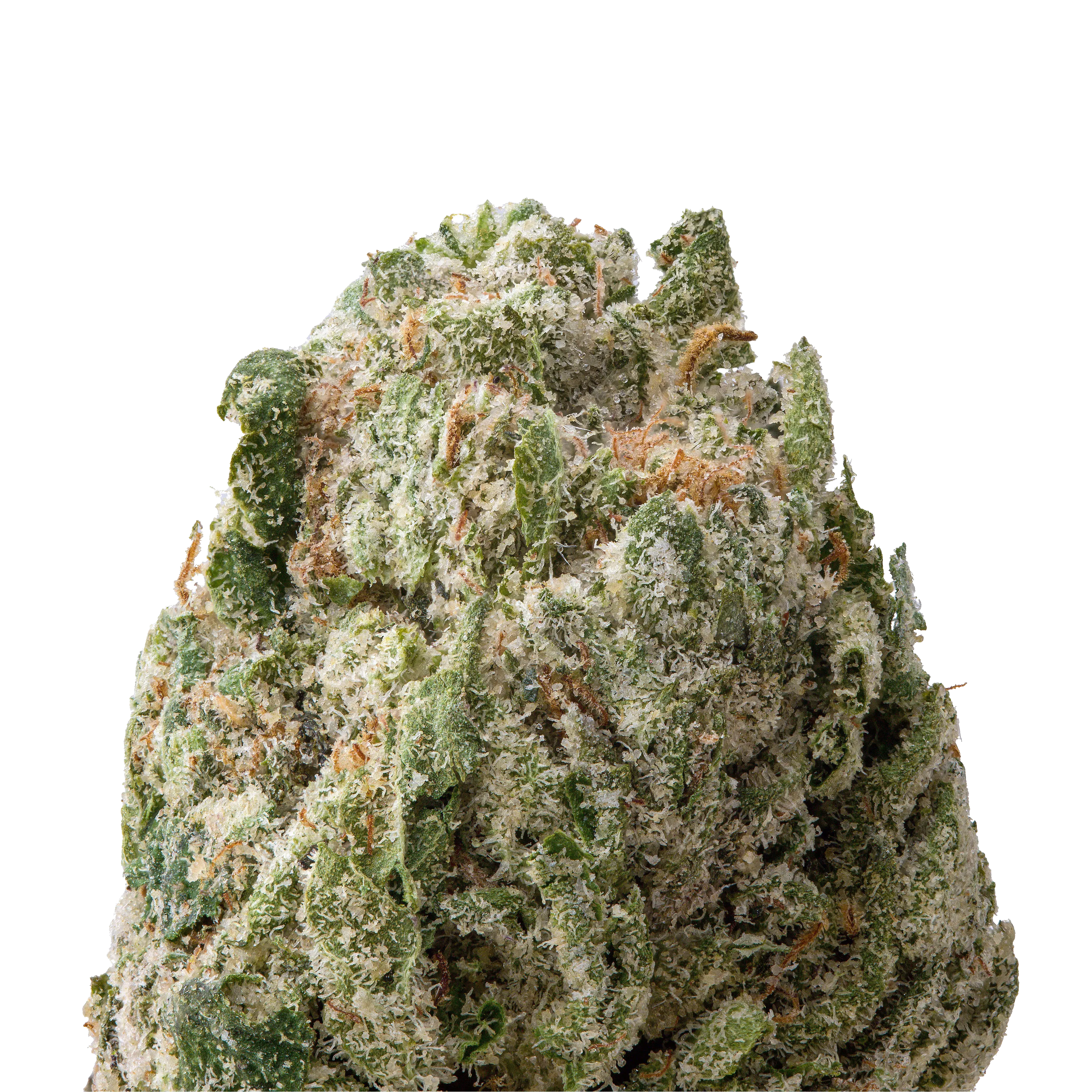 Candyland THCa Flower