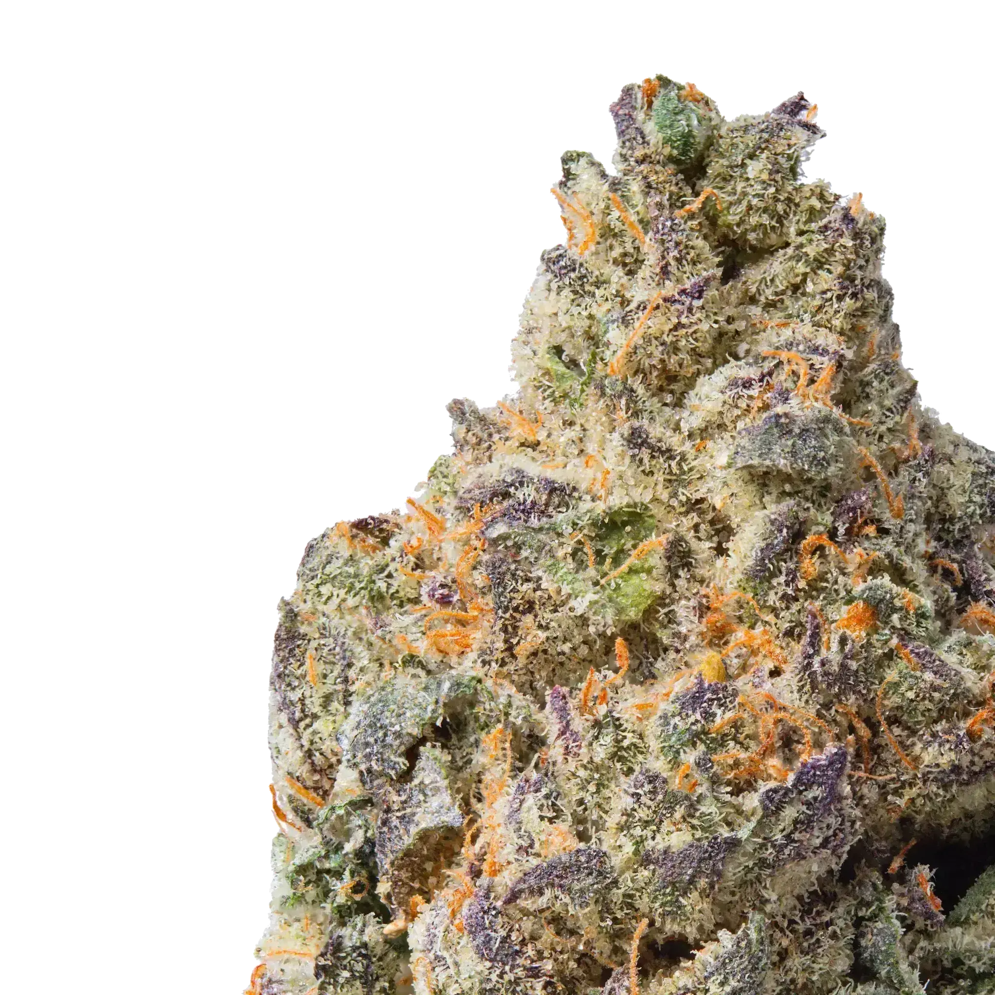 Divorce Cake THCa Flower Ounce - Image 4