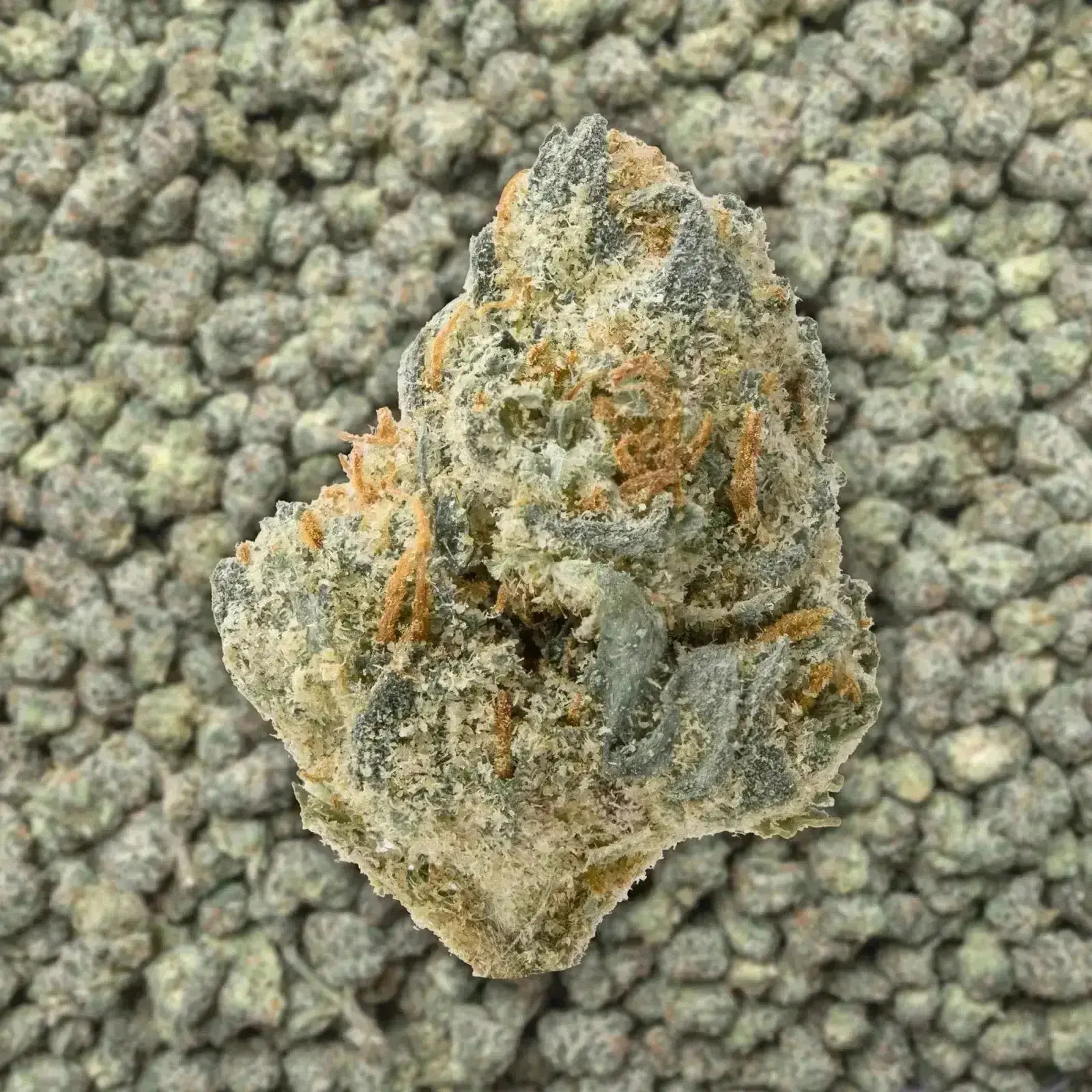Danky Kong Smalls THCa Flower - Image 3