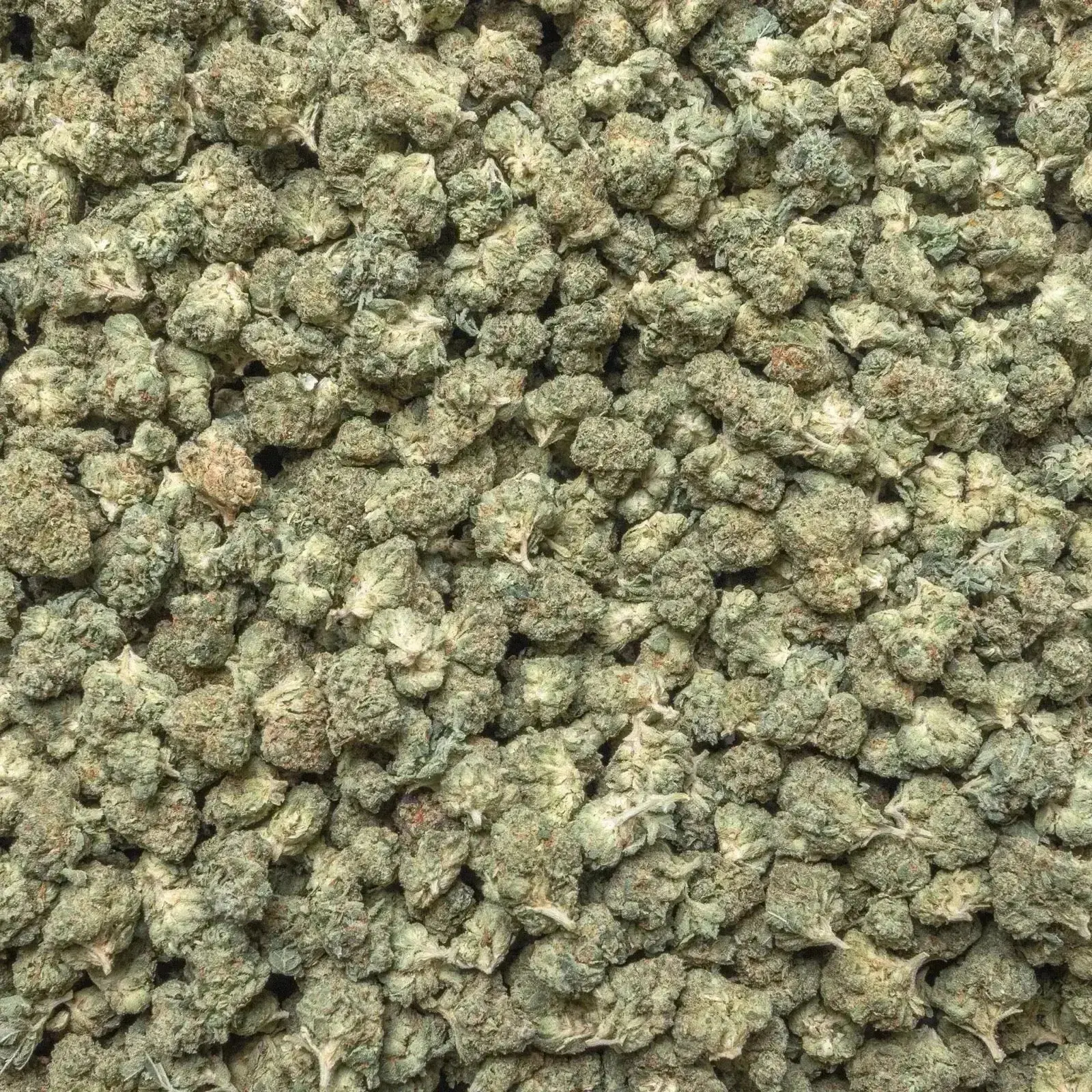 G-Force Smalls THCa Flower