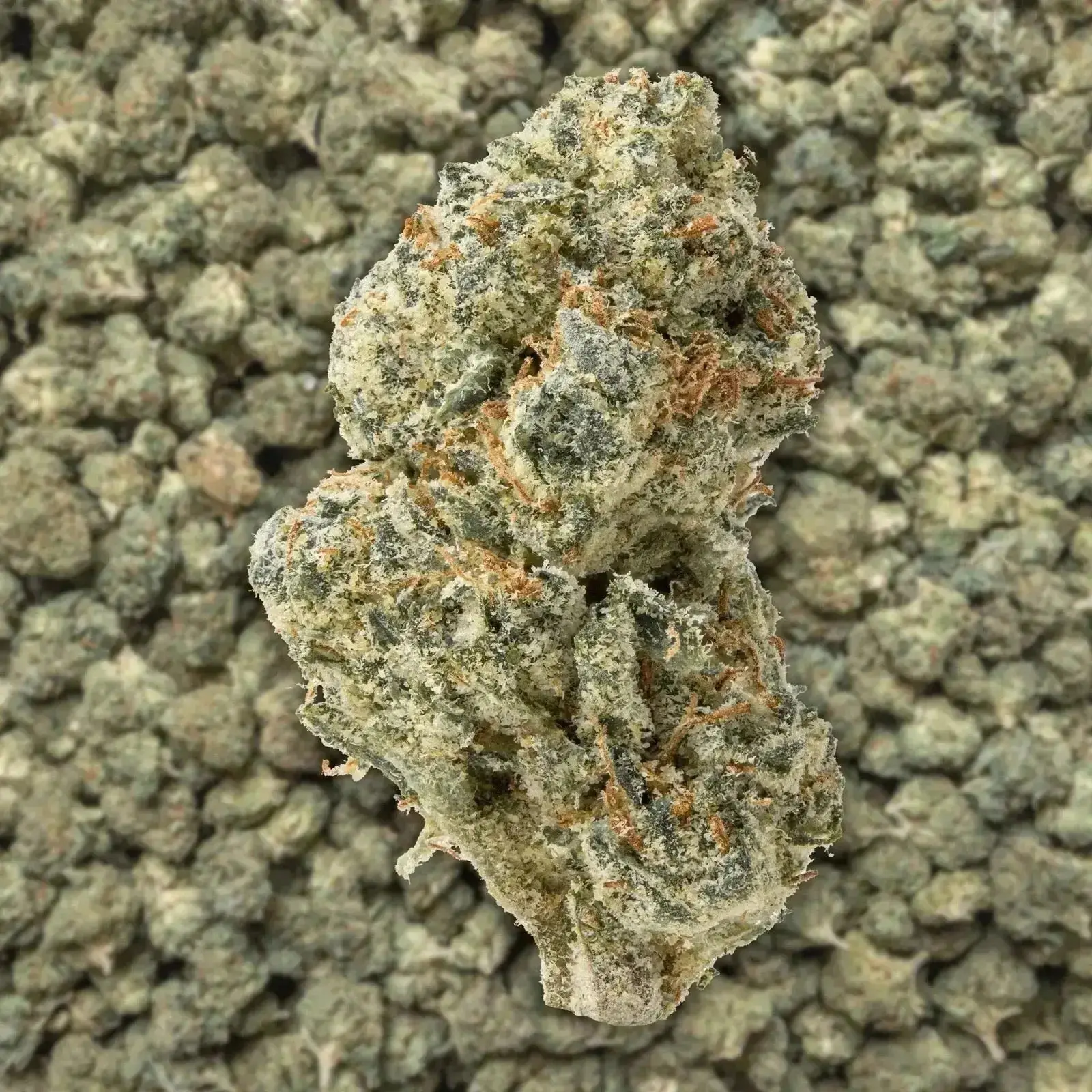 G-Force Smalls THCa Flower - Image 3