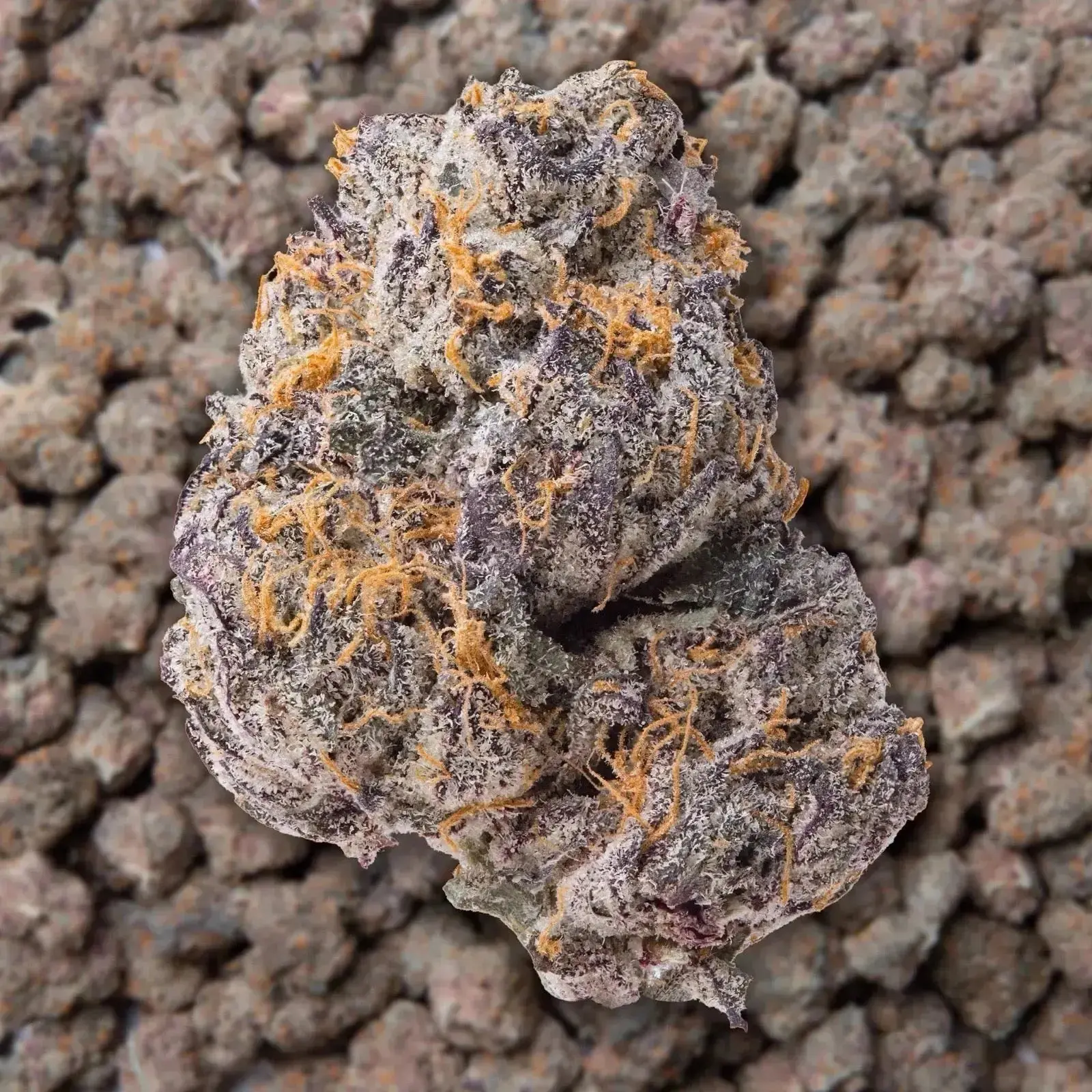 Gary Payton THCa Flower - Image 2