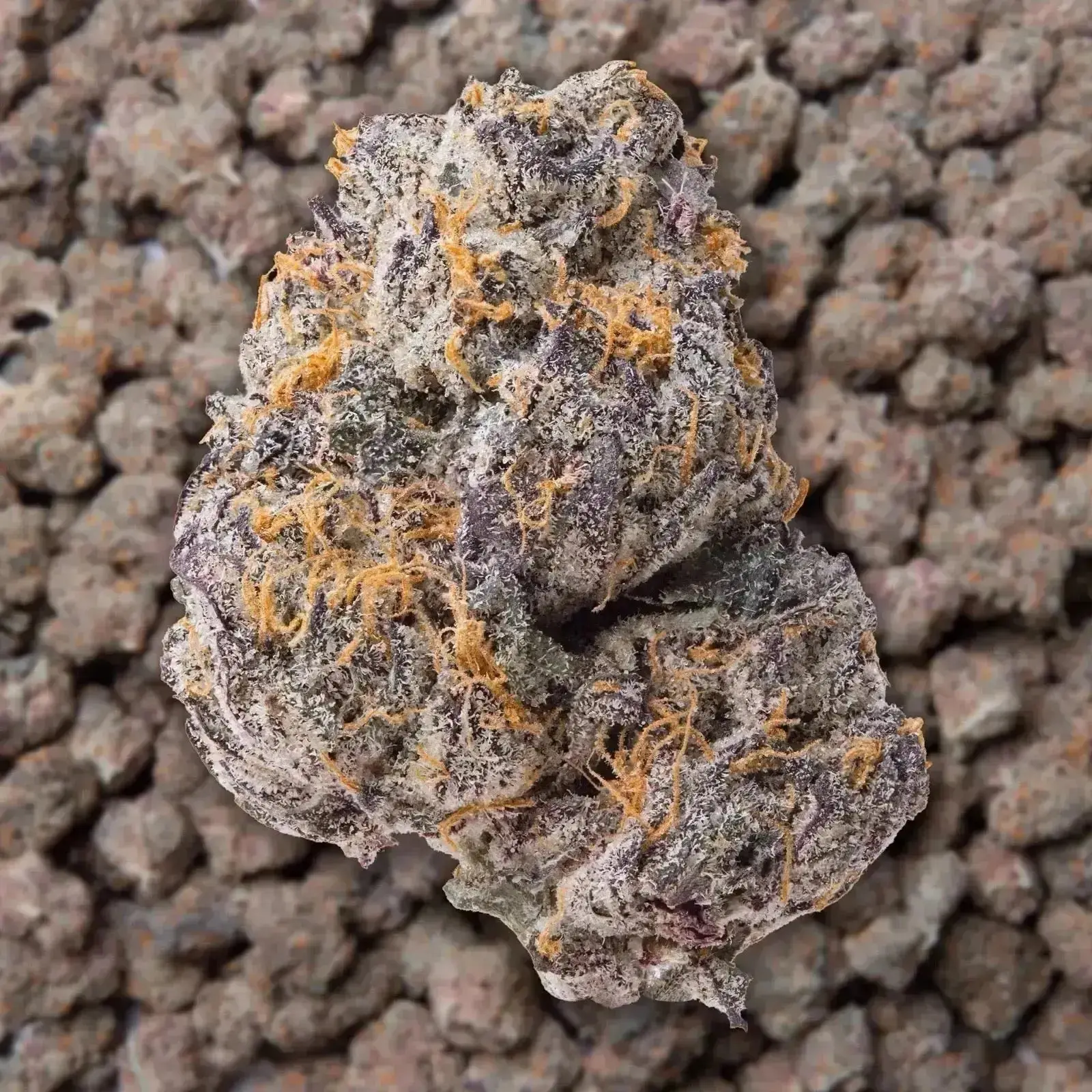 Gary Payton THCa Flower Ounce - Image 2