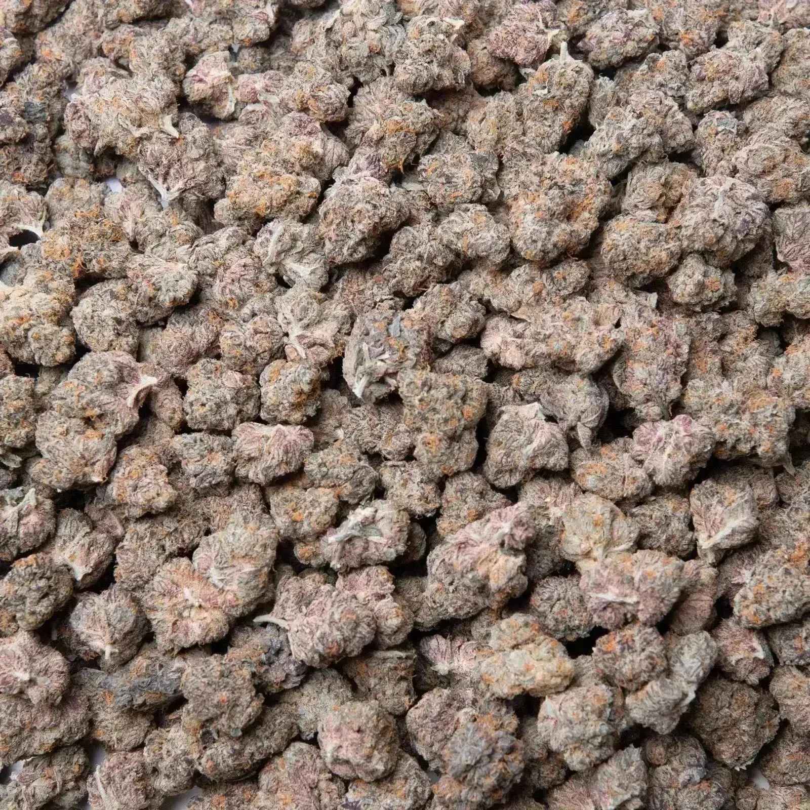 Gary Payton THCa Flower Ounce - Image 3