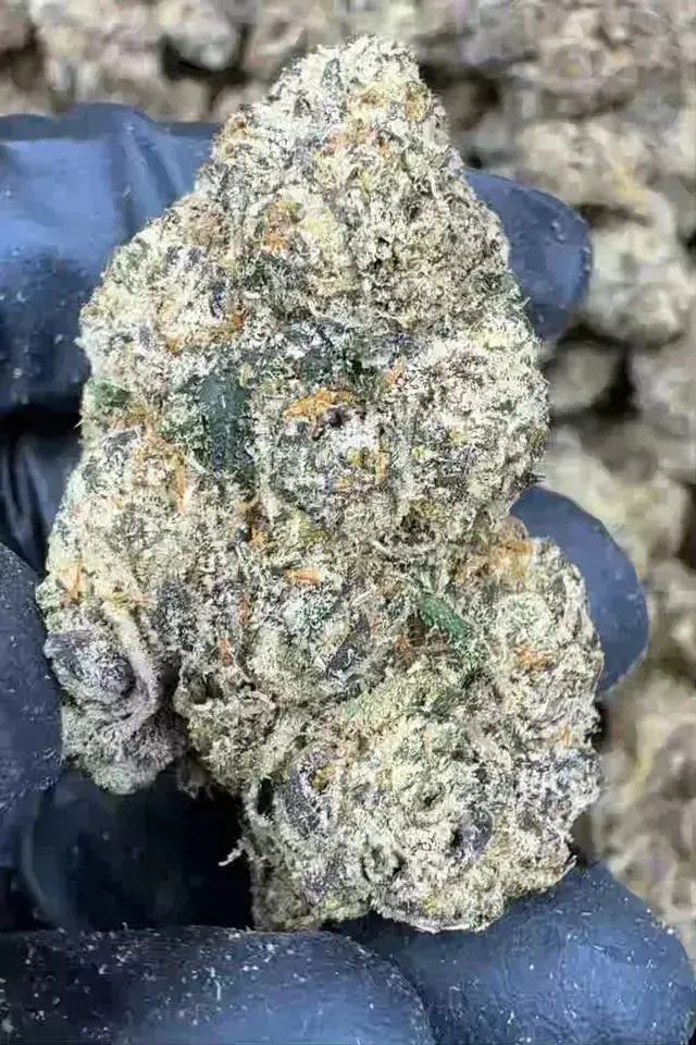 Gas Mask THCa Flower - Image 9