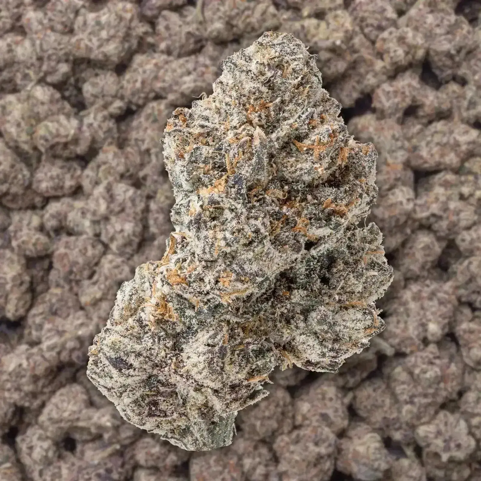 Gas Mask THCa Flower - Image 3