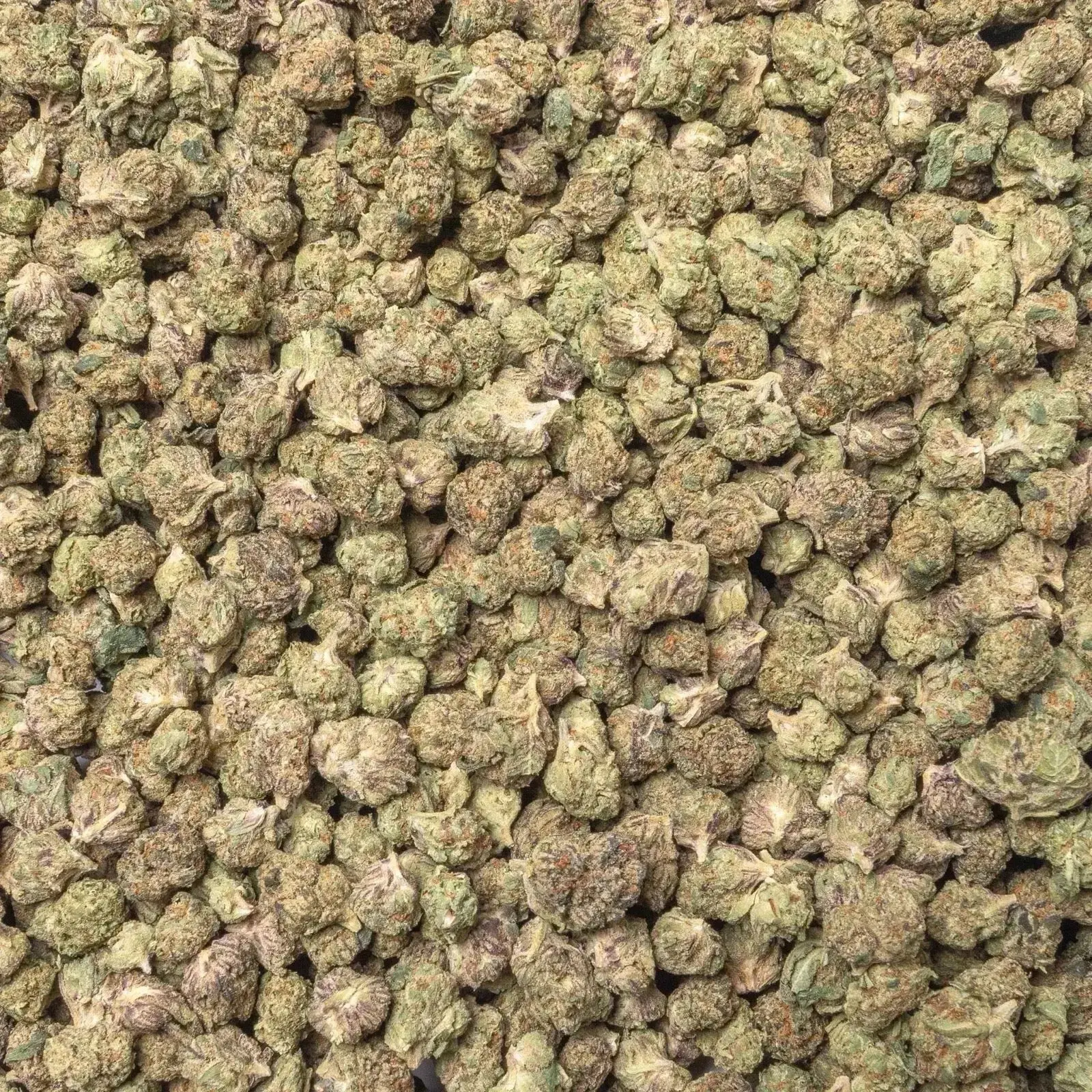 Gelato 41 Smalls THCa Flower