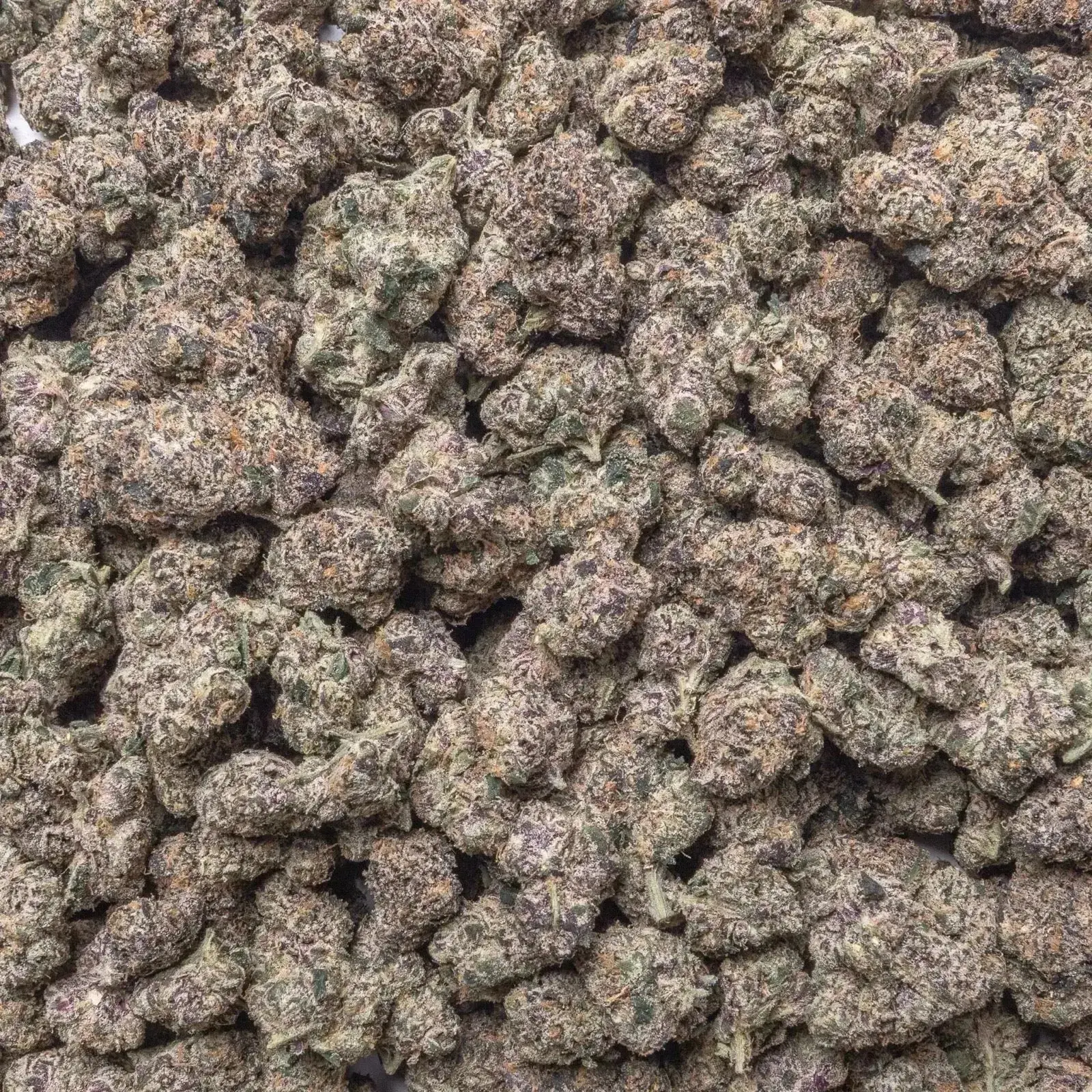GMZ Exotic THCa Flower Ounce - Image 3