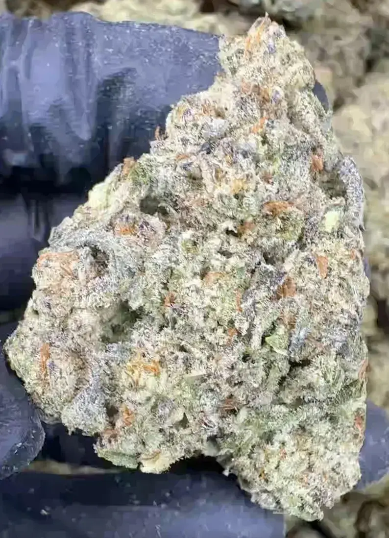 Gorilla Glue #4 (GG4) THCa Flower - Image 2
