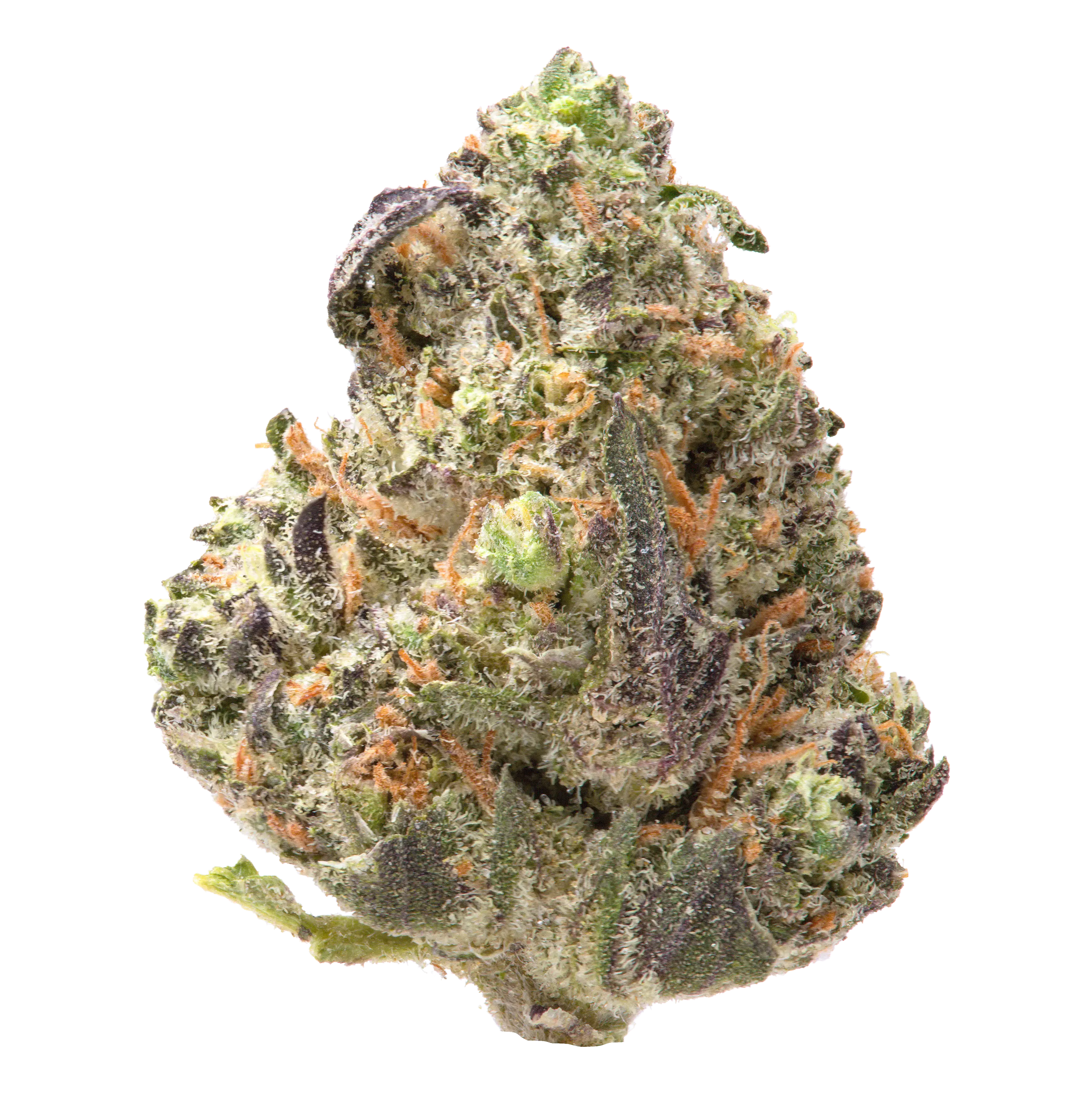 Governmint Oasis Smalls THCa Flower