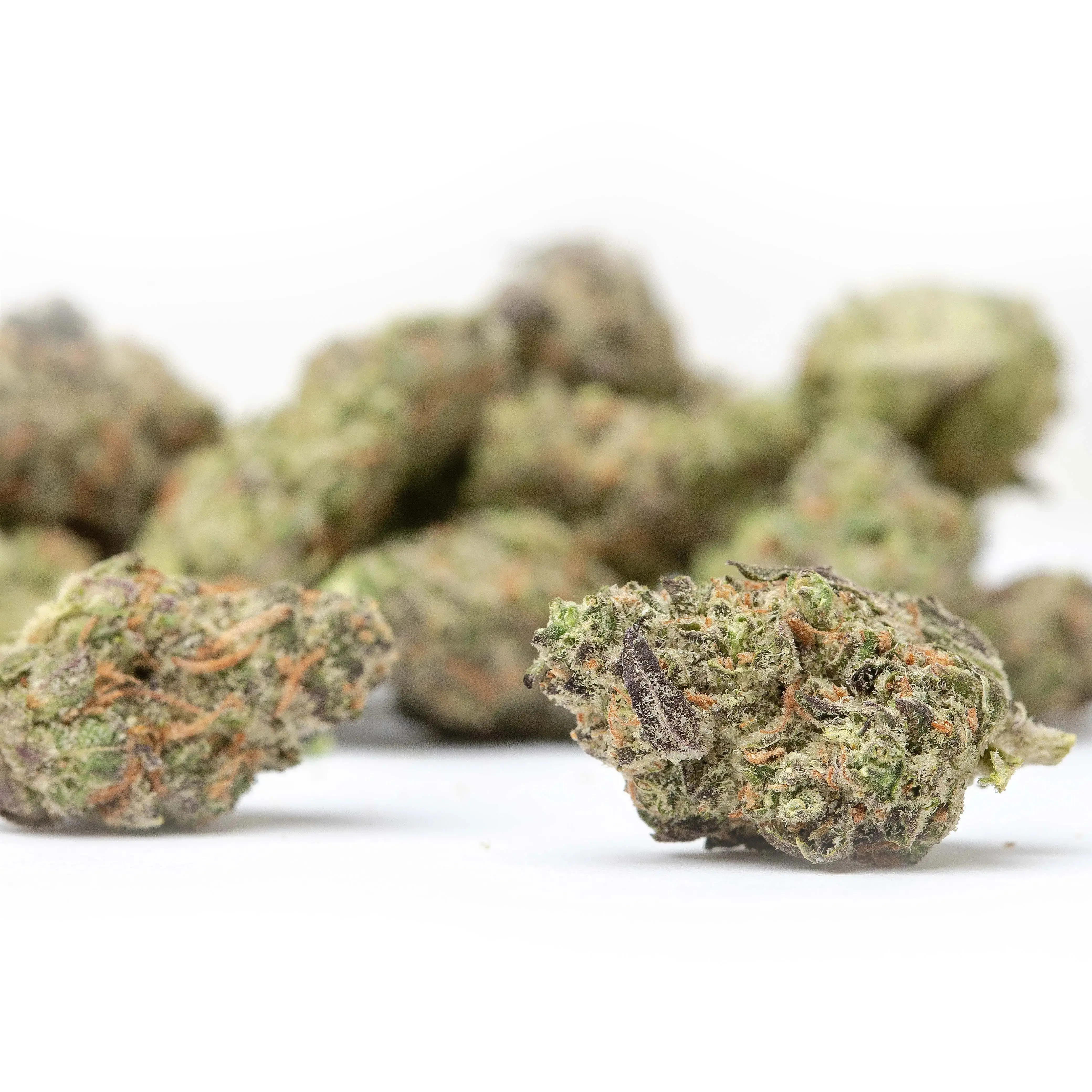 Governmint Oasis Smalls THCa Flower - Image 2