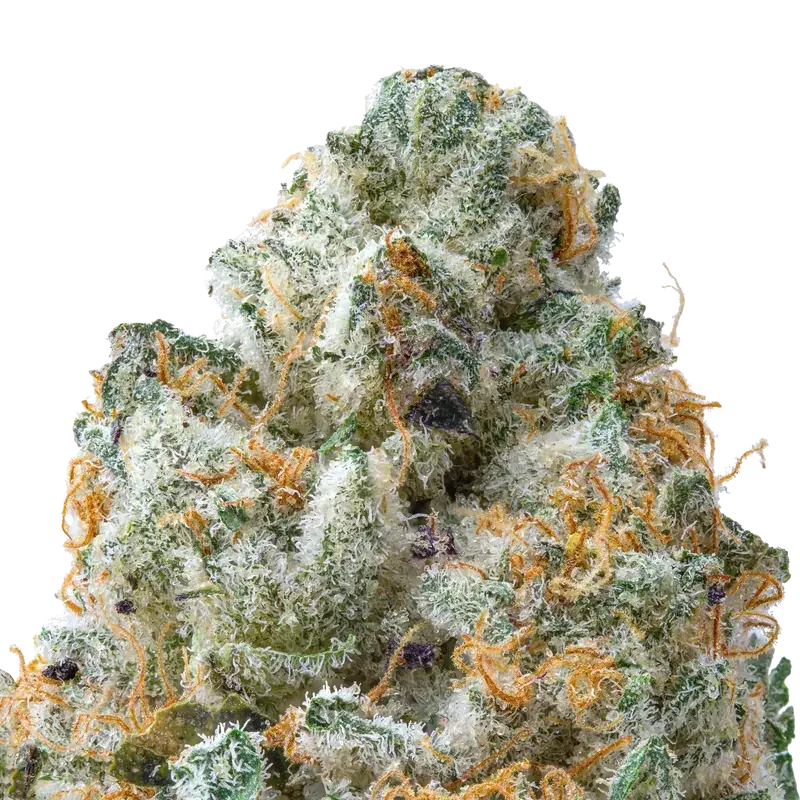 Guava THCa Flower