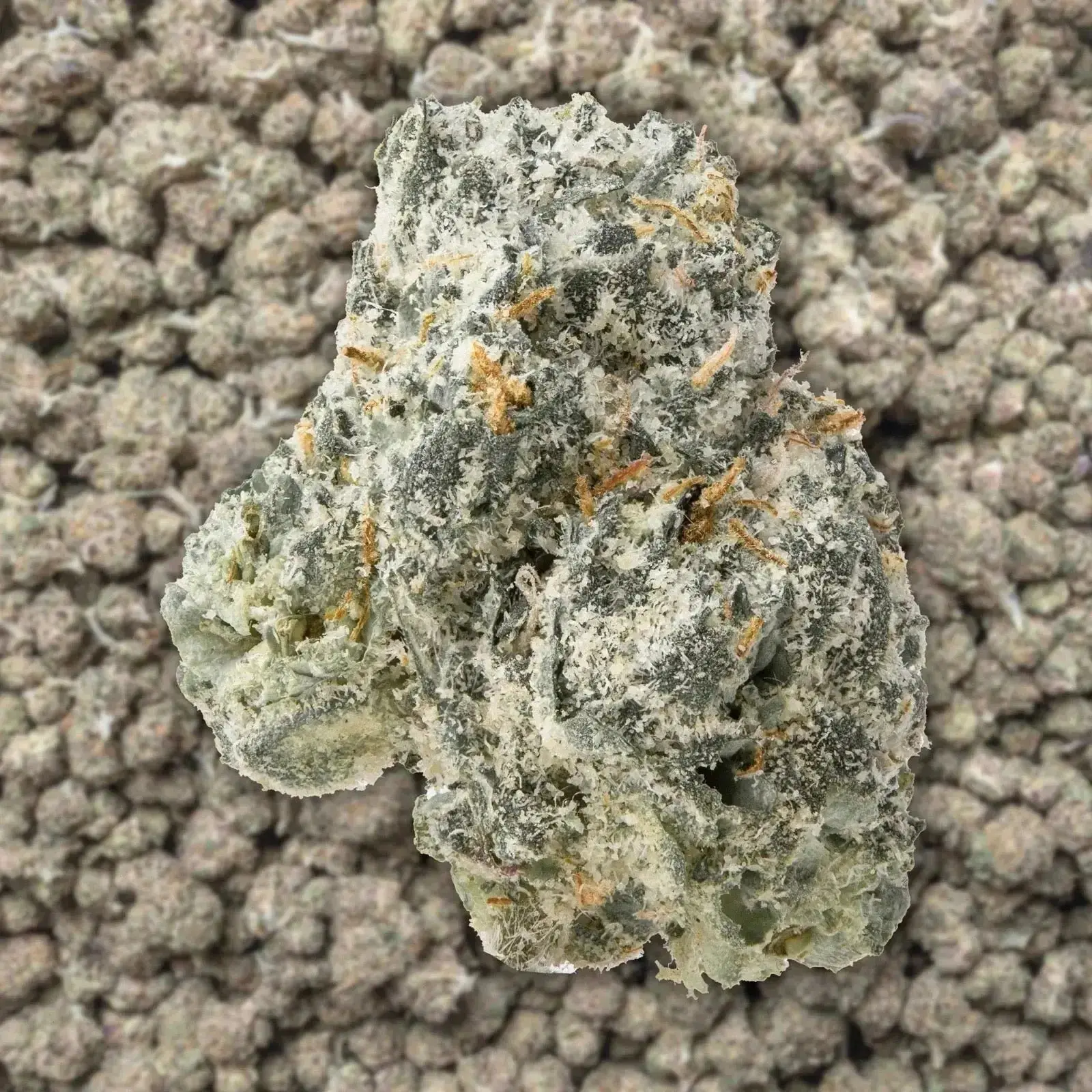 Gumbo Smalls THCa Flower Ounce - Image 3