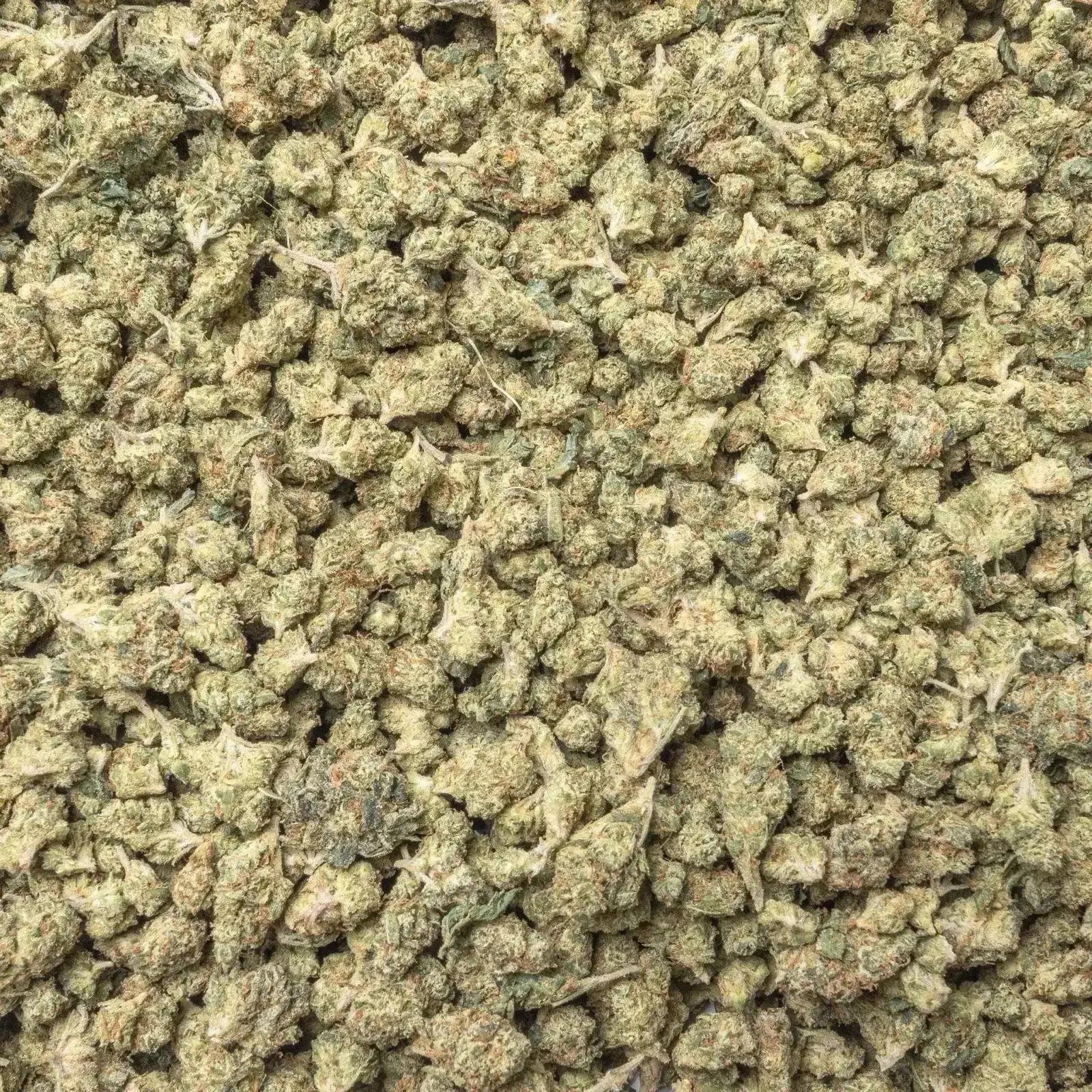 Gushers Smalls THCa Flower