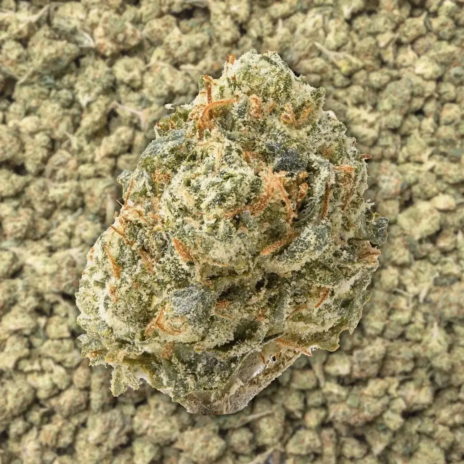 Gushers Smalls THCa Flower - Image 3