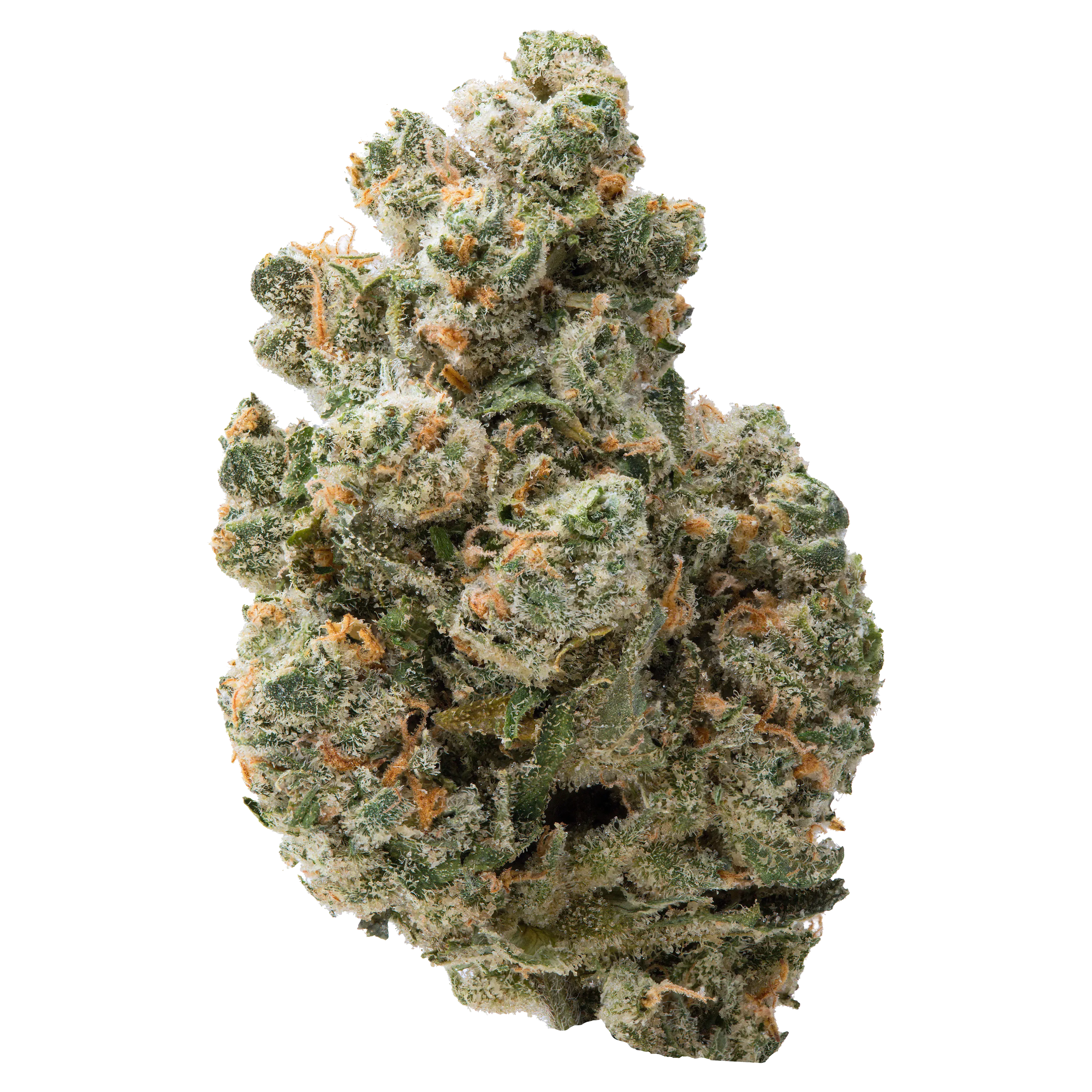 Jack Herer THCa Flower - Image 2