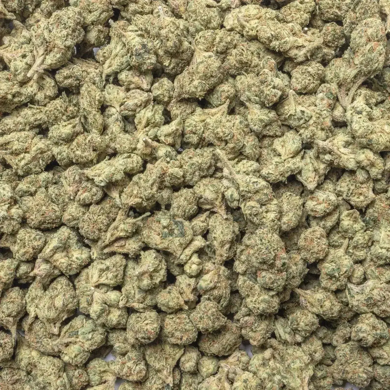 Lemon Cherry Gelato THCa Flower Ounce