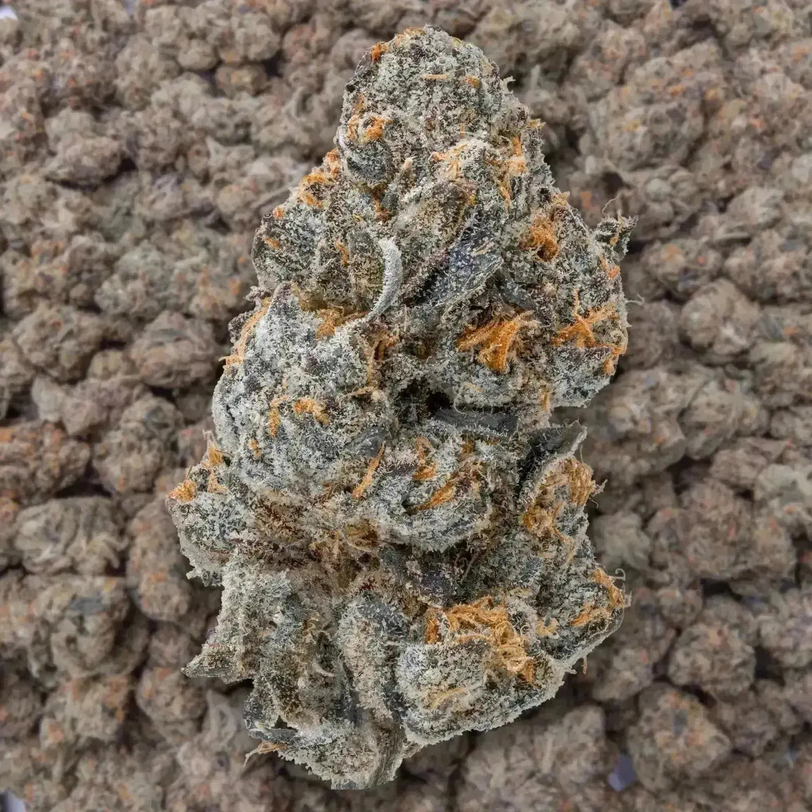 Lemon Cherry Belts THCa Flower - Image 3