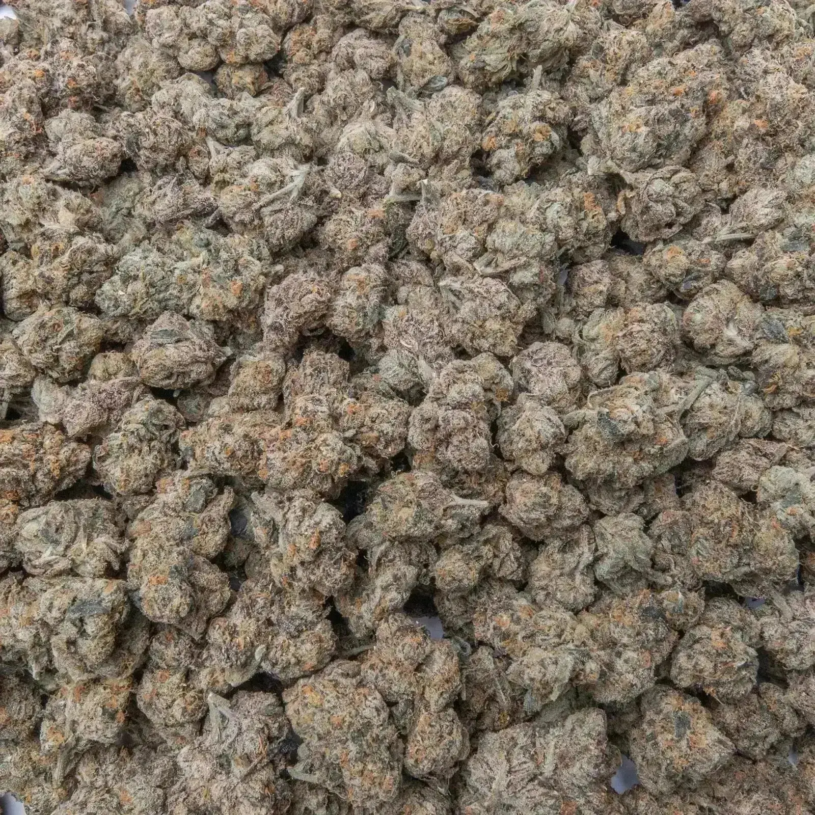 Lemon Cherry Belts THCa Flower - Image 6