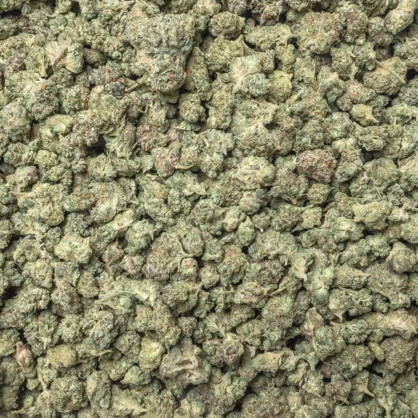 Lemon Pound Cake Smalls THCa Flower