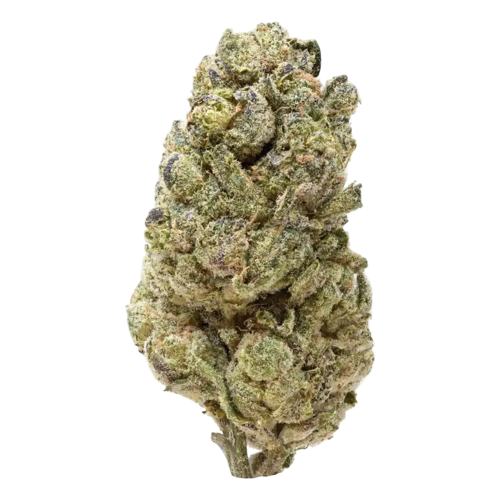 OG Kush THCa Flower
