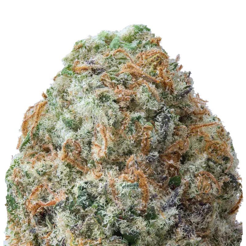 Orange Miracle Alien Cookies THCa Flower