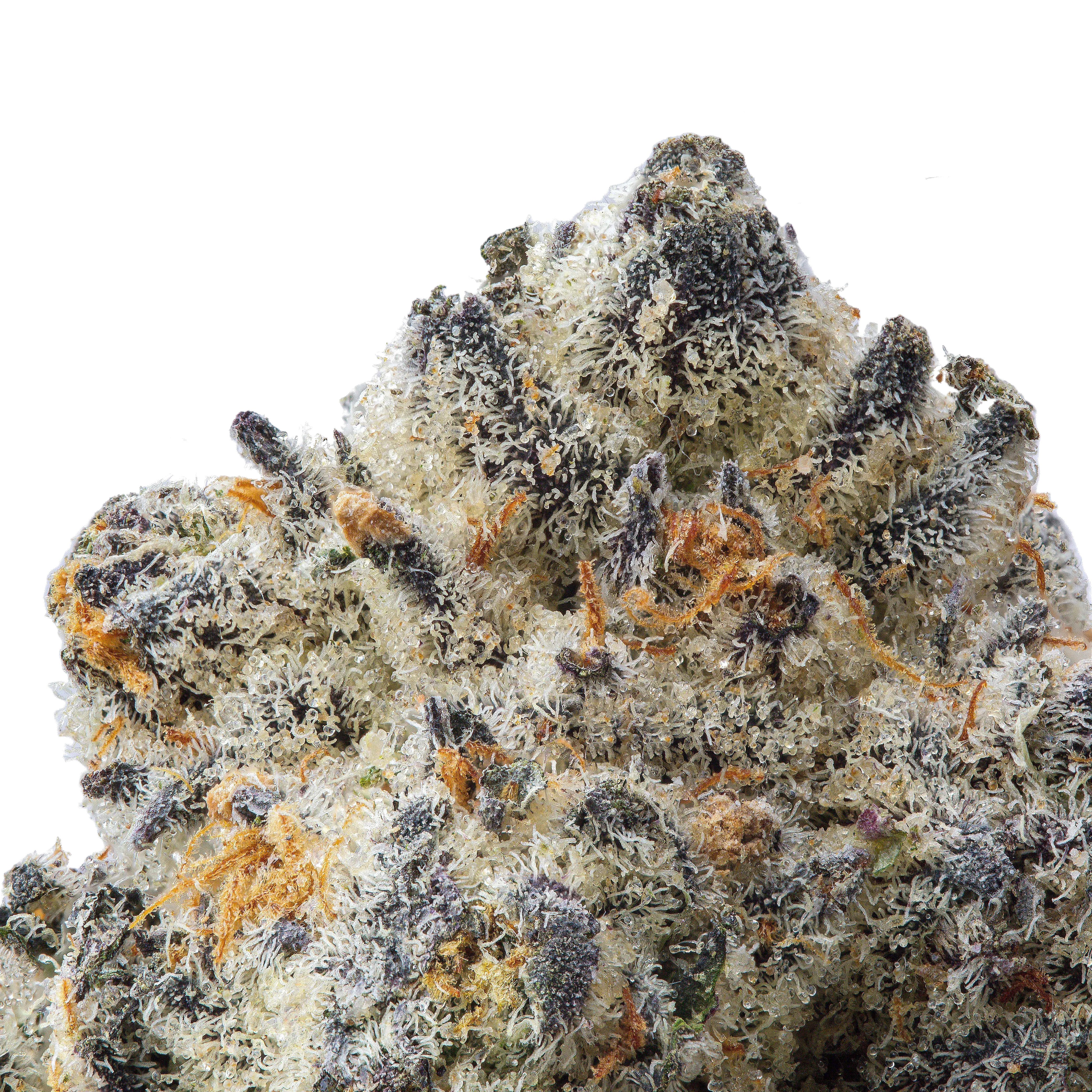 Oreo THCa Flower 3.5 Grams