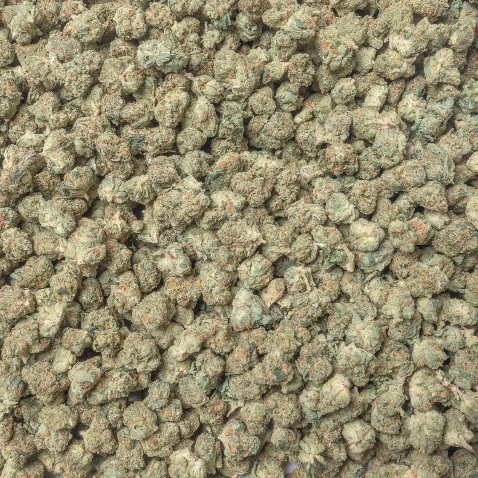 Panama Red Smalls THCa Flower