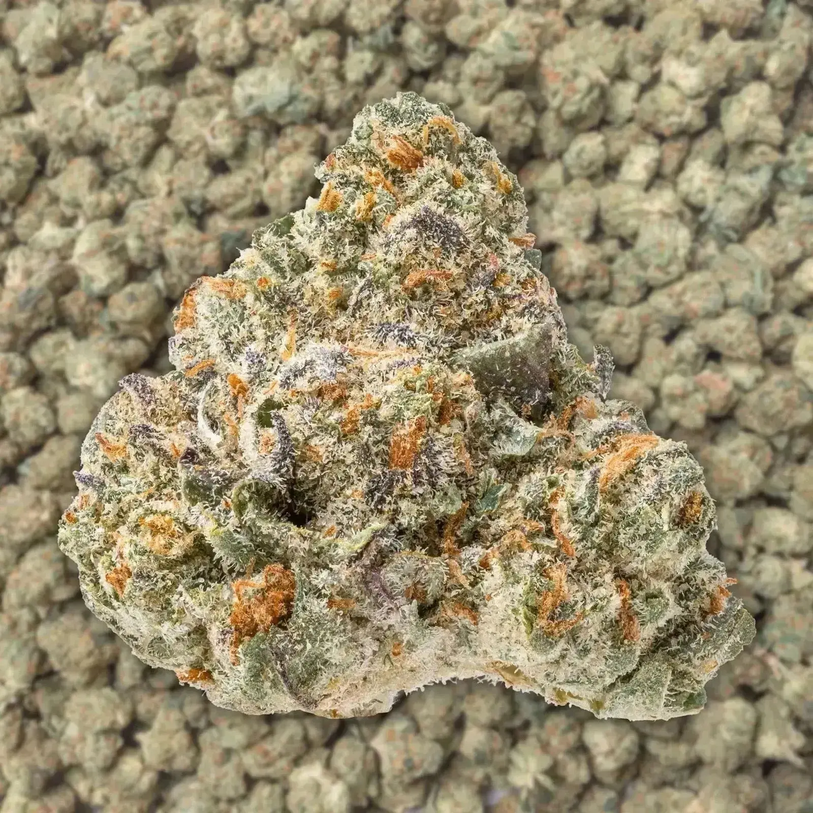 Panama Red Smalls THCa Flower - Image 3