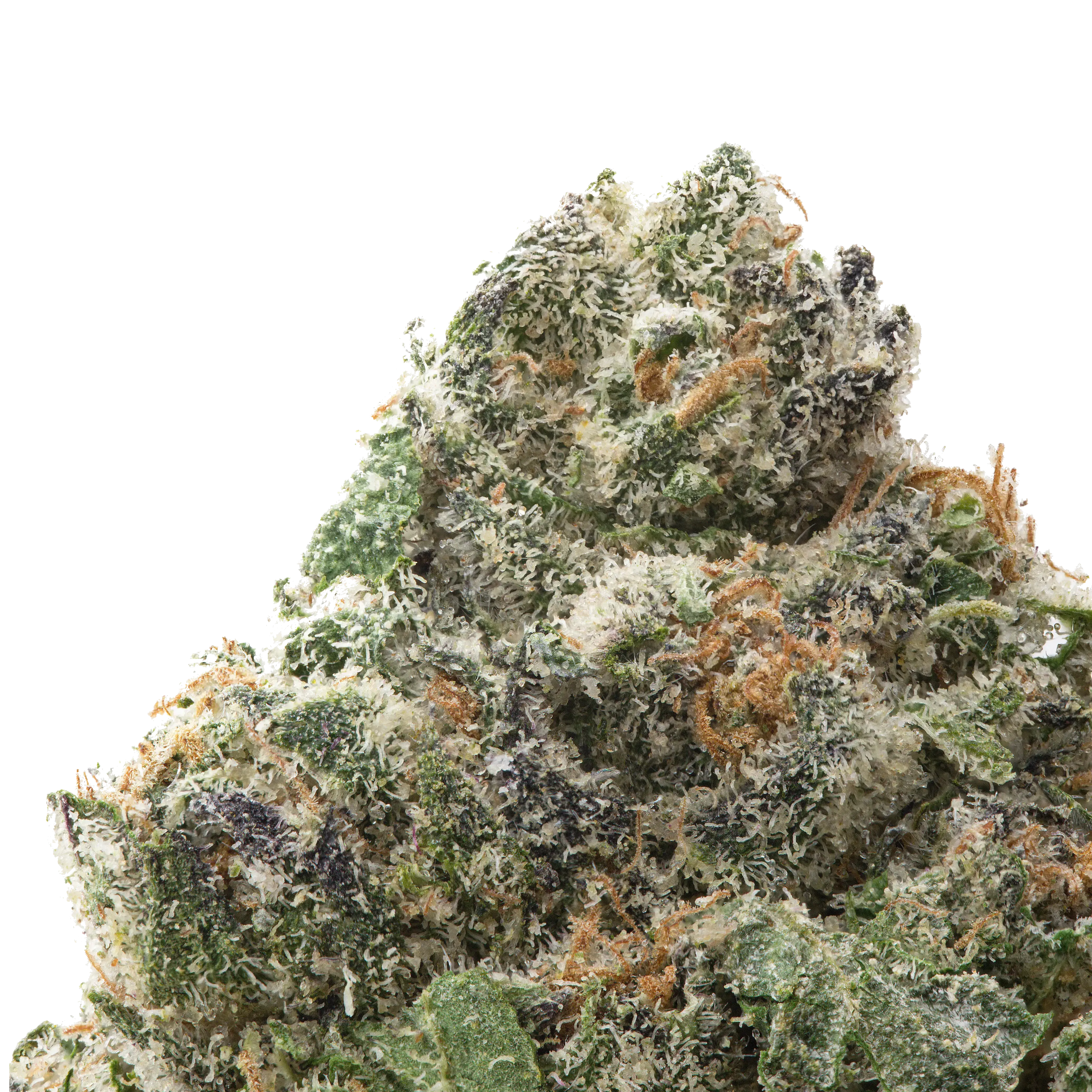 THCa Flower offer