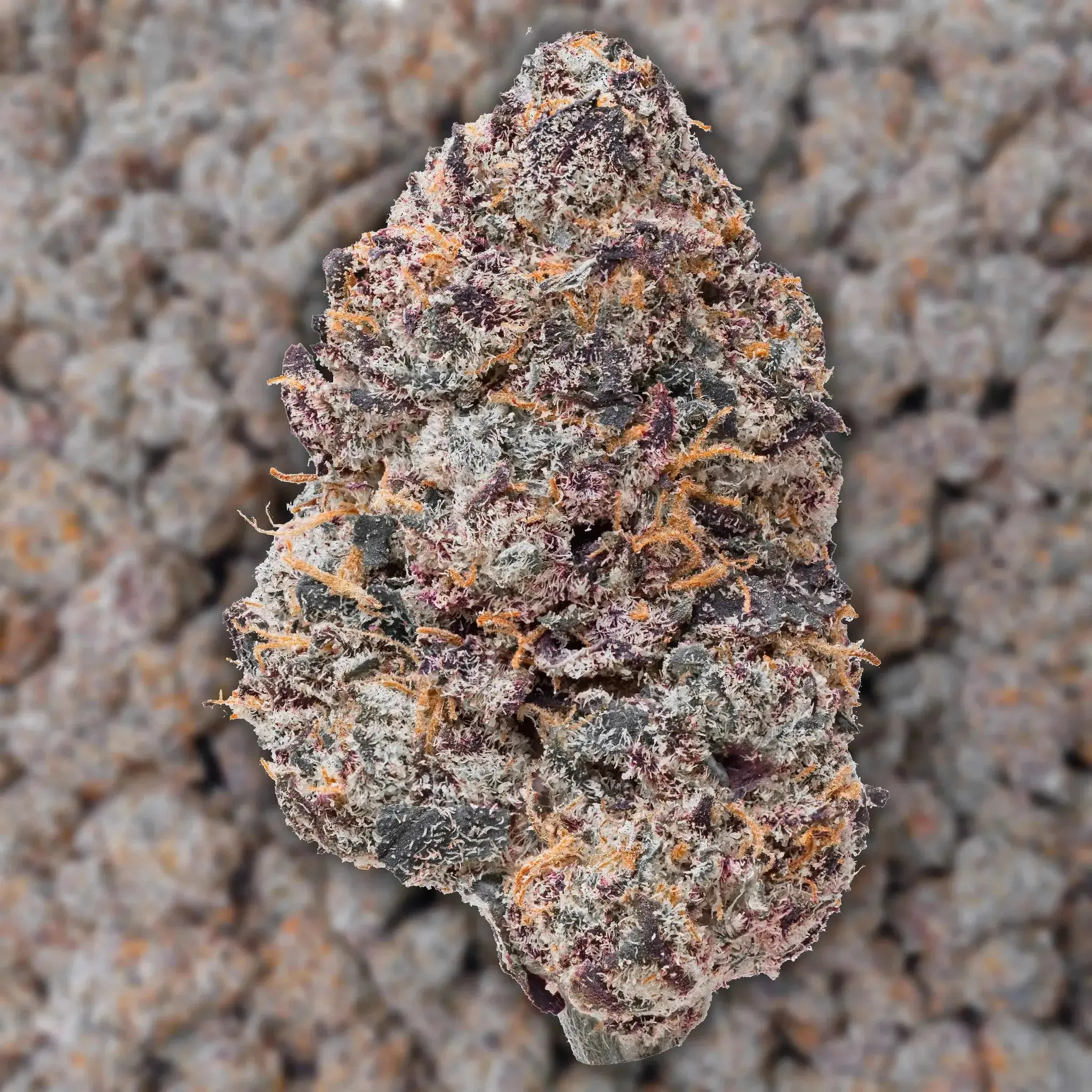 Purple Certz THCa Flower - Image 2