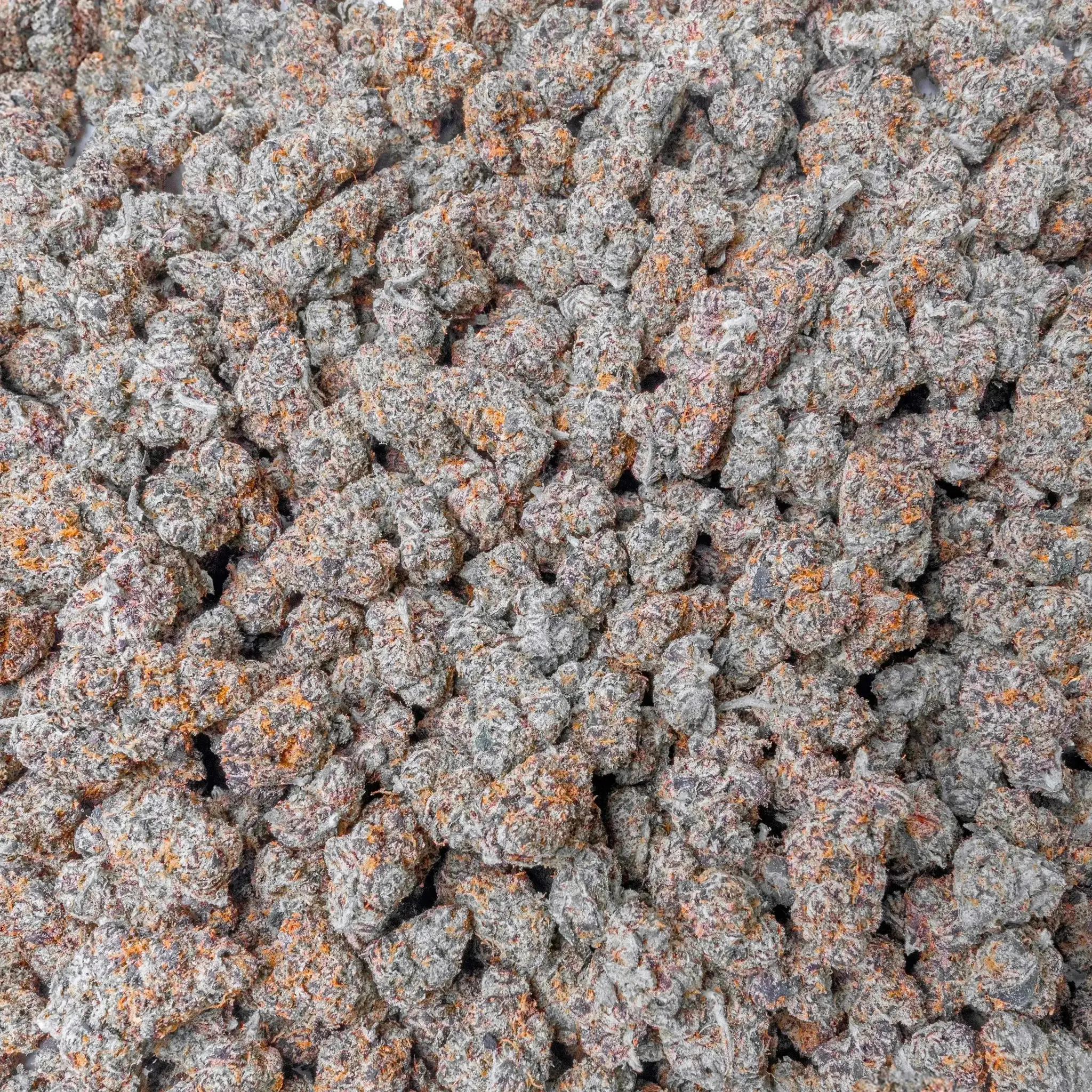 Purple Certz THCa Flower - Image 3