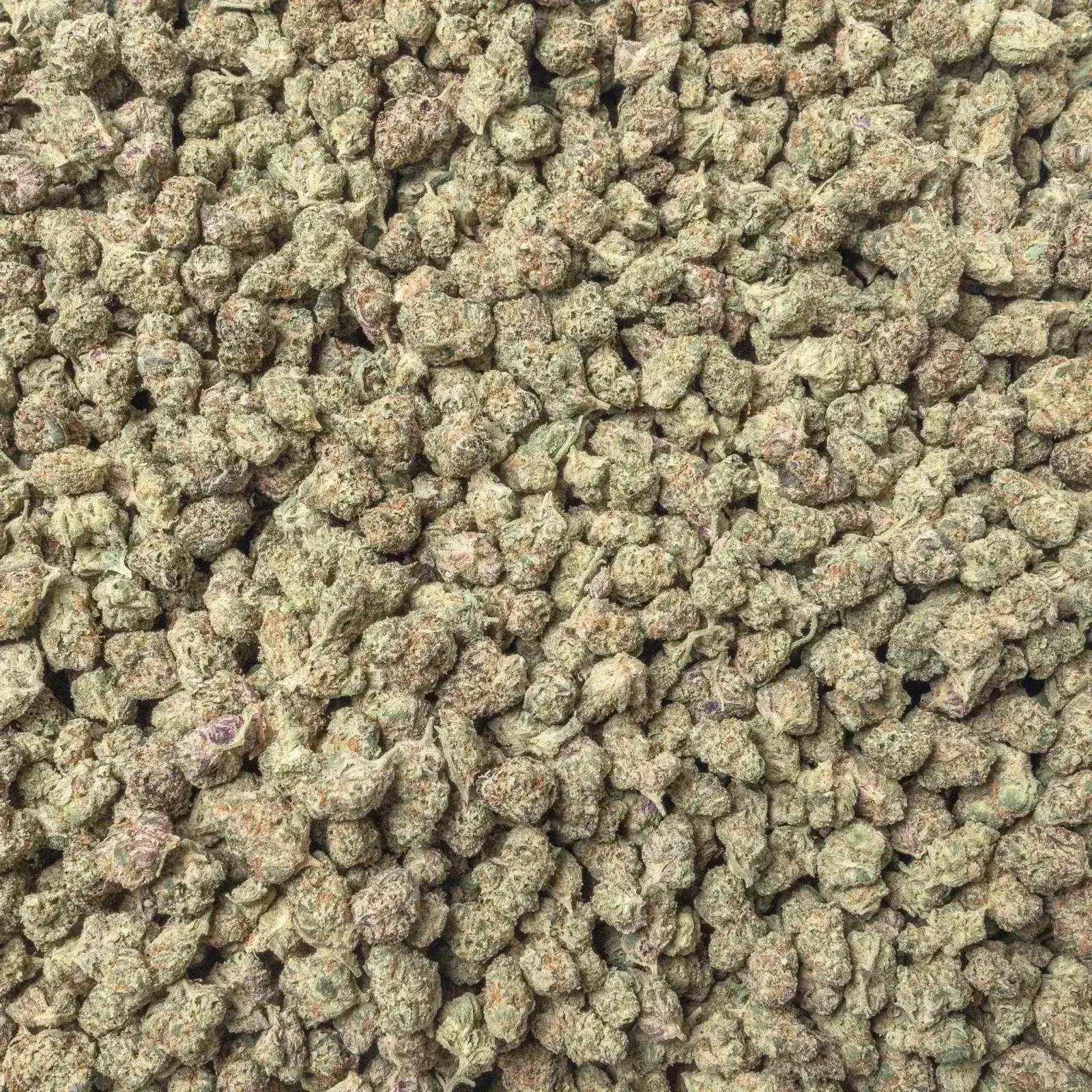 Purple Haze Smalls THCa Flower Ounce