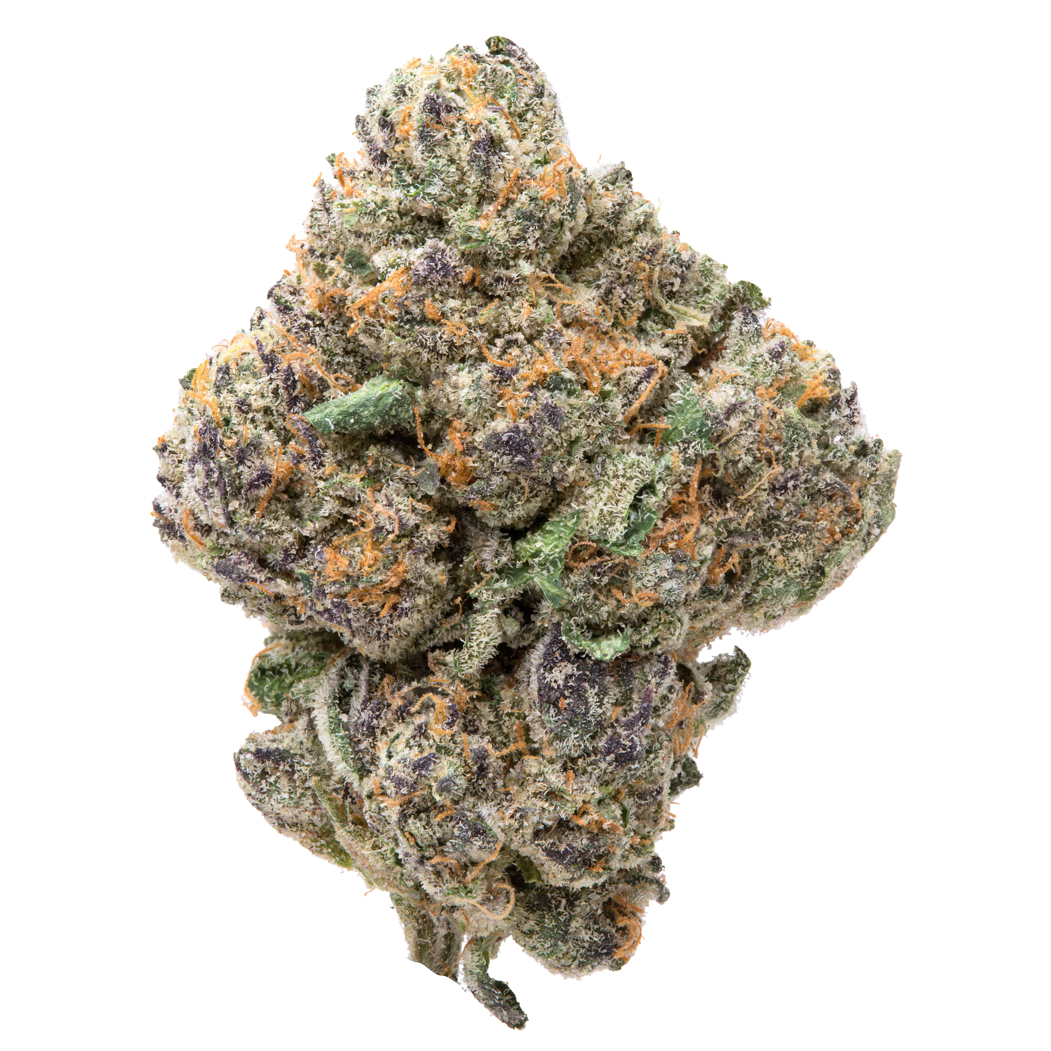 Purple Passion THCa Flower