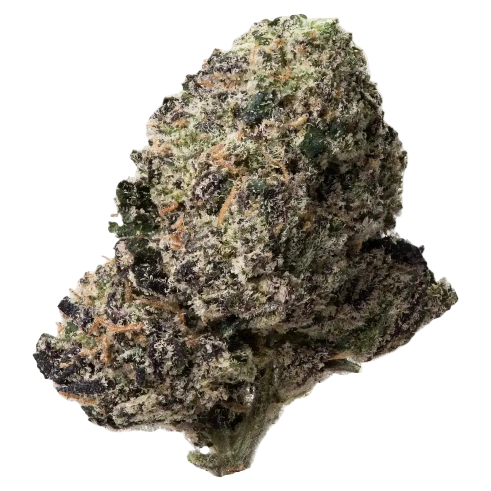 Purple Punch THCa Flower