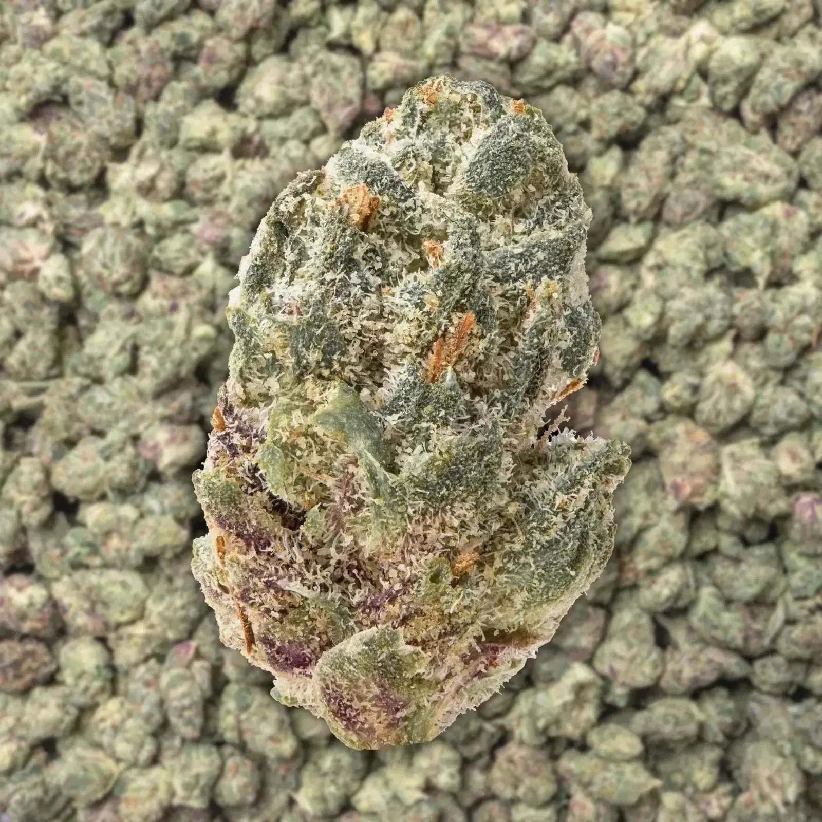 Raspberry Gas Smalls THCa Flower - Image 3