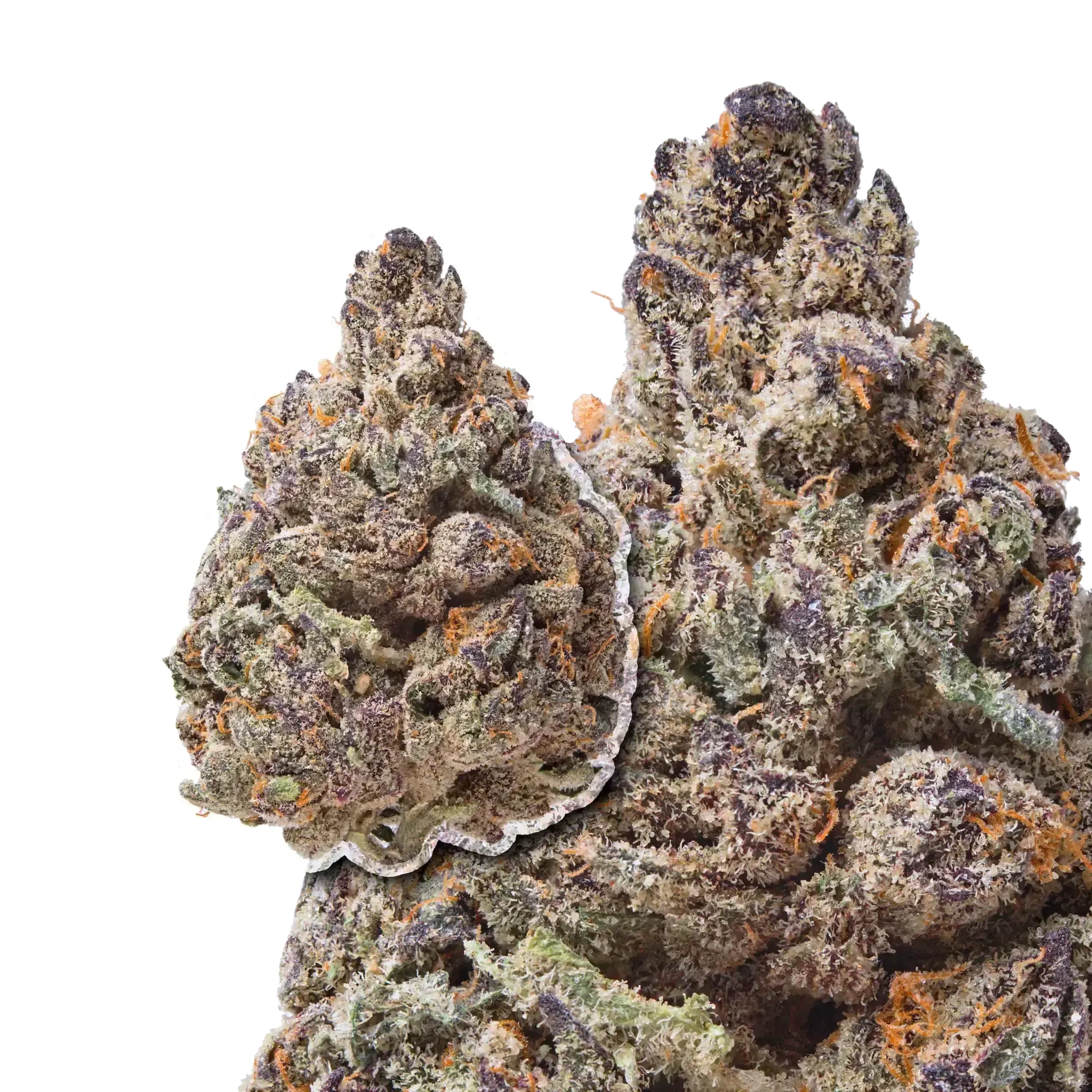 Red Rock THCa Flower - Image 4