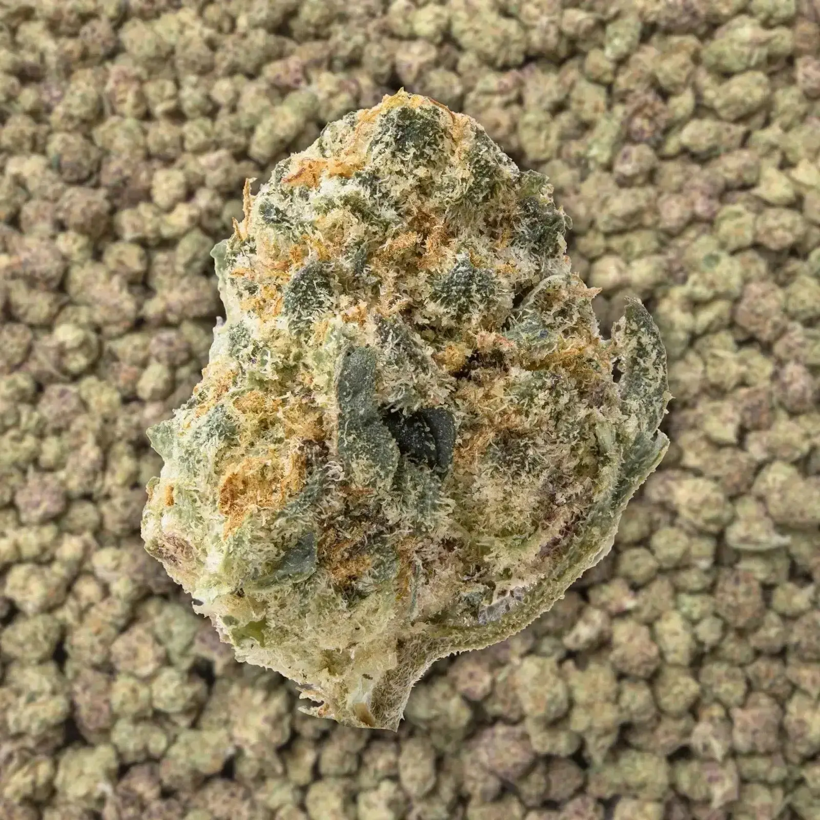 Scented Marker Smalls THCa Flower - Image 3