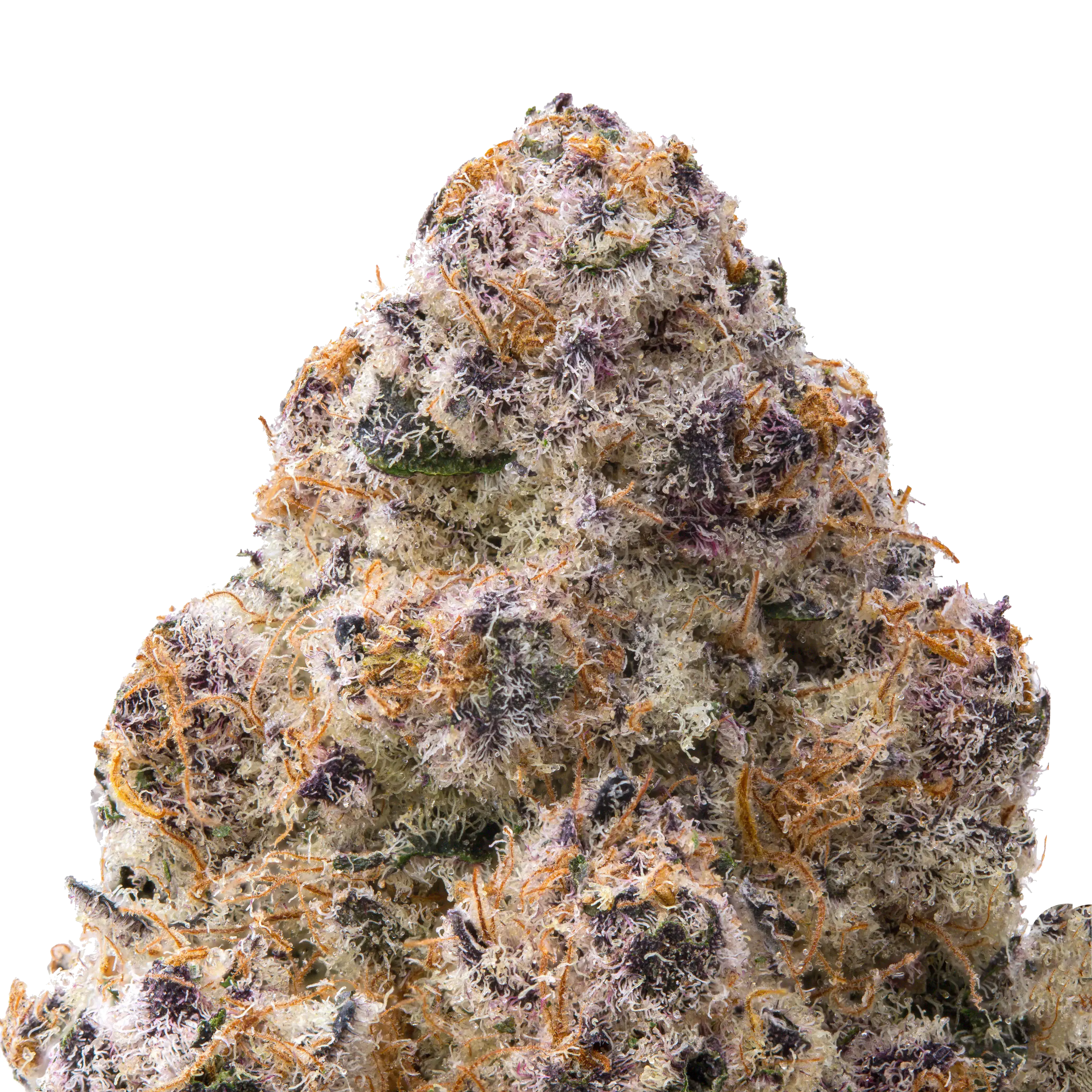 Silver Spoon THCa Flower