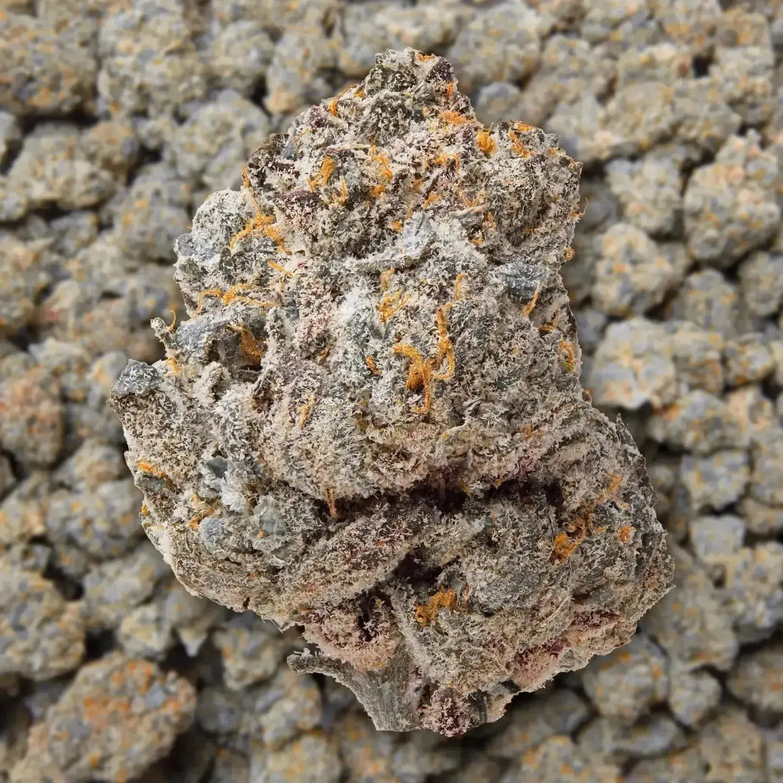 Sour Diesel THCa Flower - Image 2