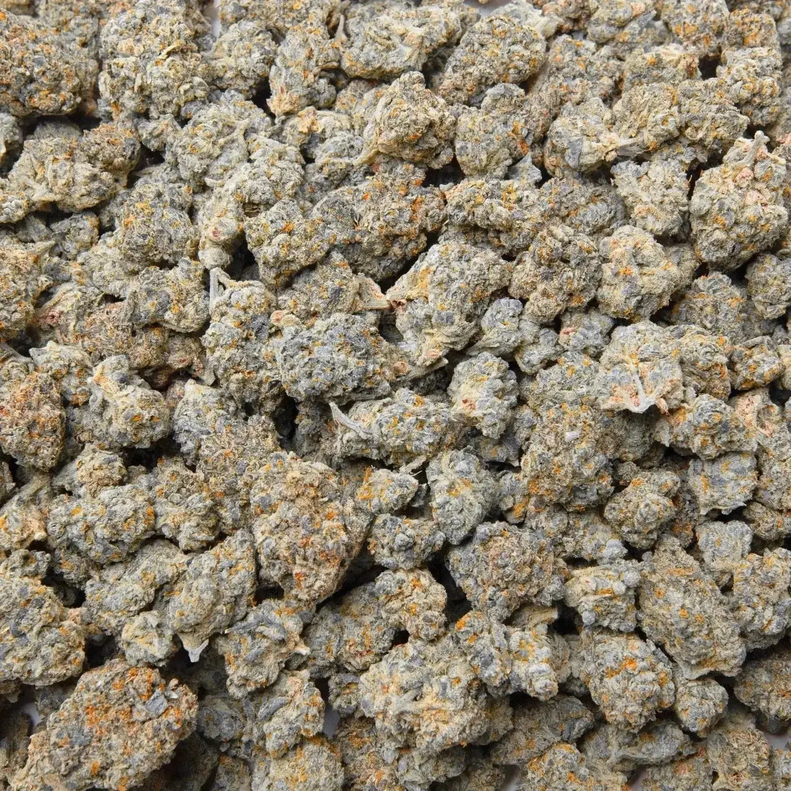 Sour Diesel THCa Flower - Image 3