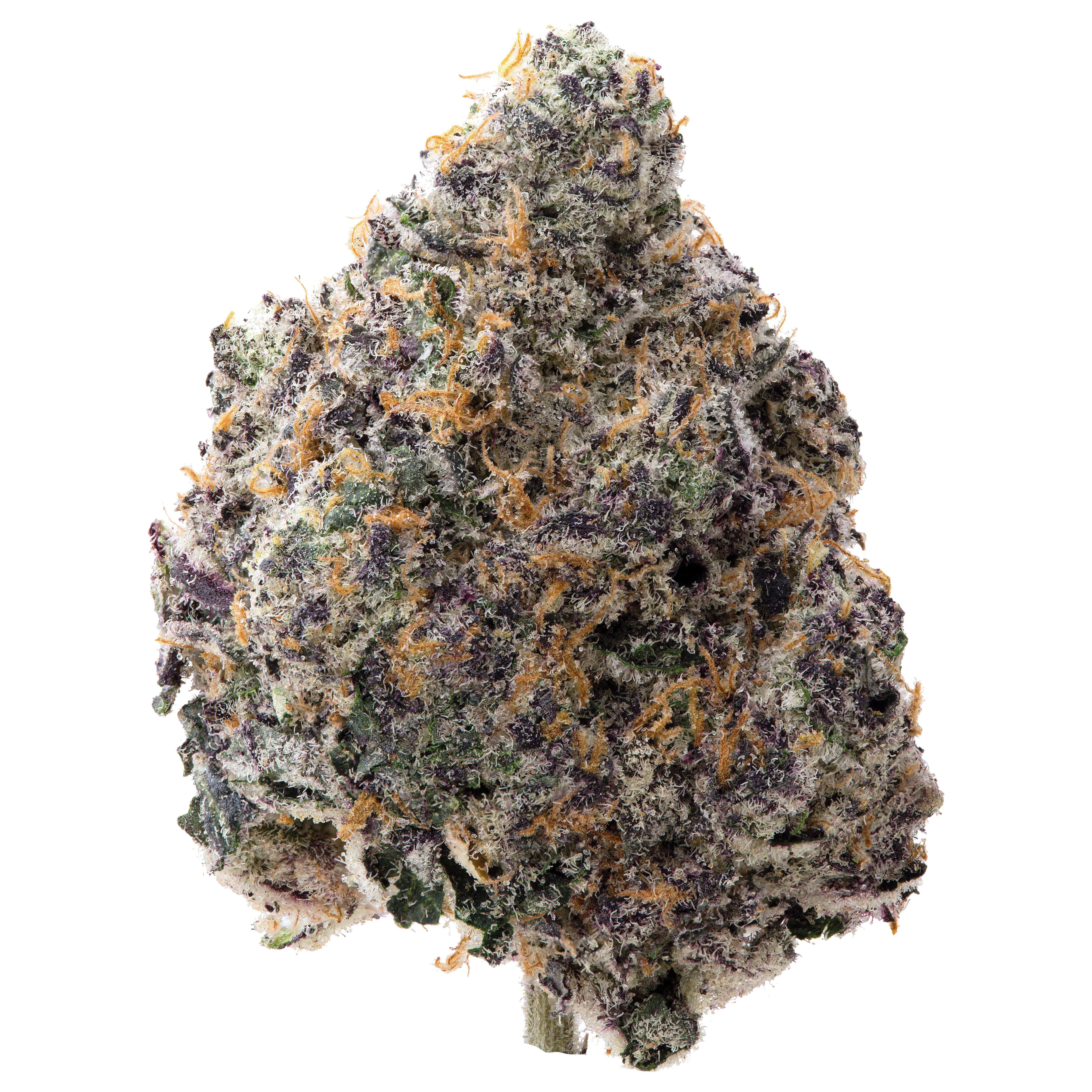 Super Boof THCa Flower - Image 2