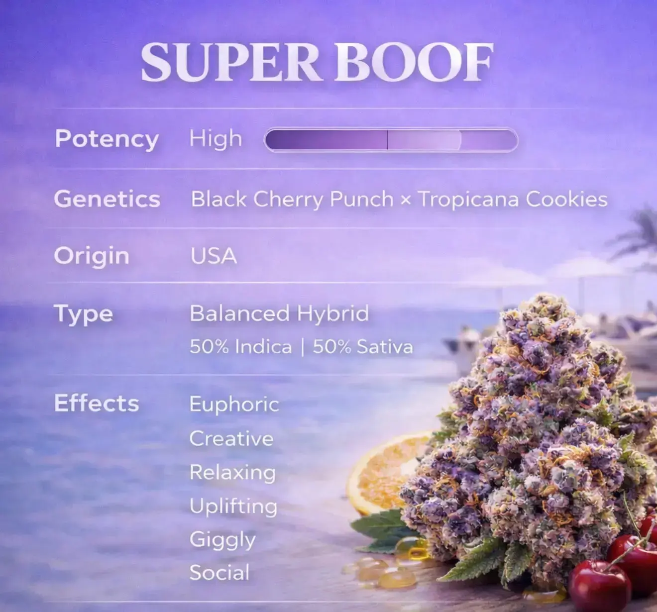 Super Boof THCa Flower - Image 6