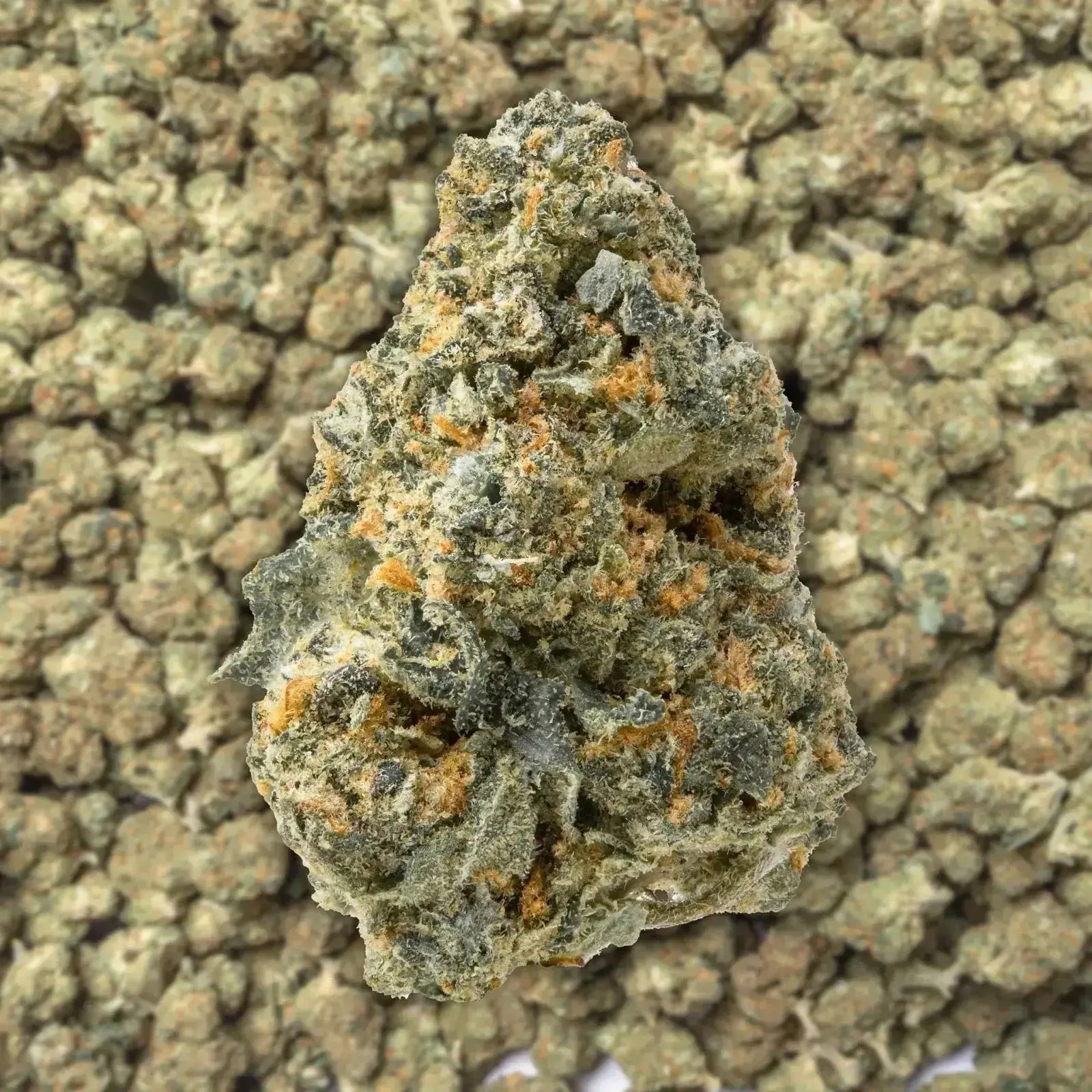 Trainwreck THCa Smalls Ounce - Image 3